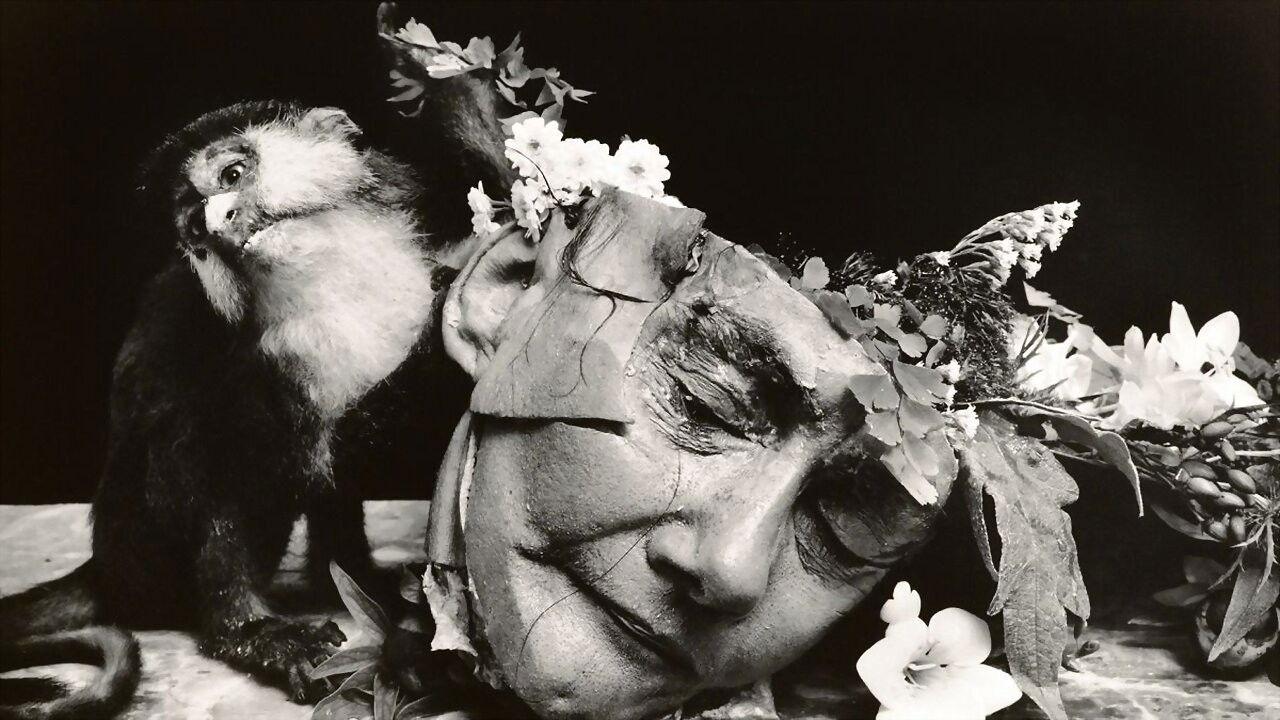 Witkin & Witkin