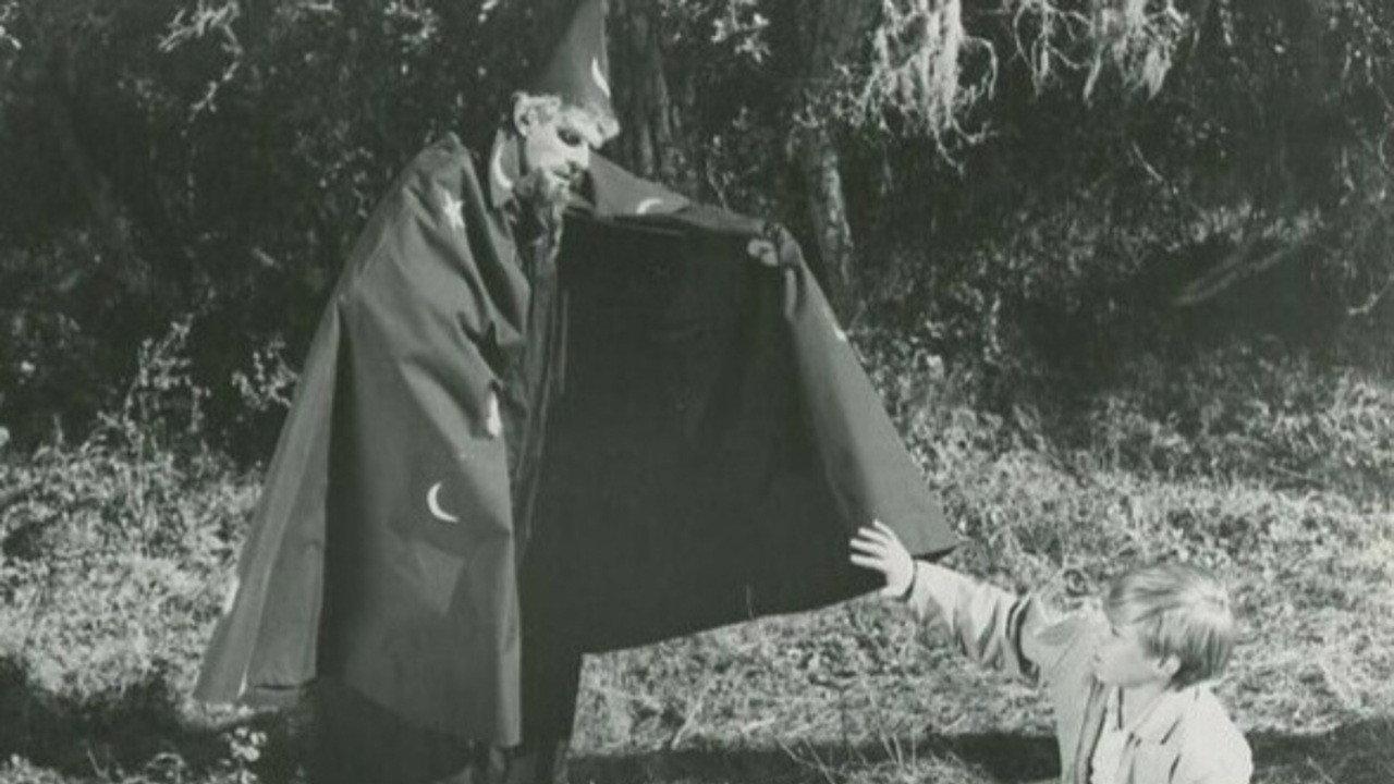 The Princess and the Magic Frog