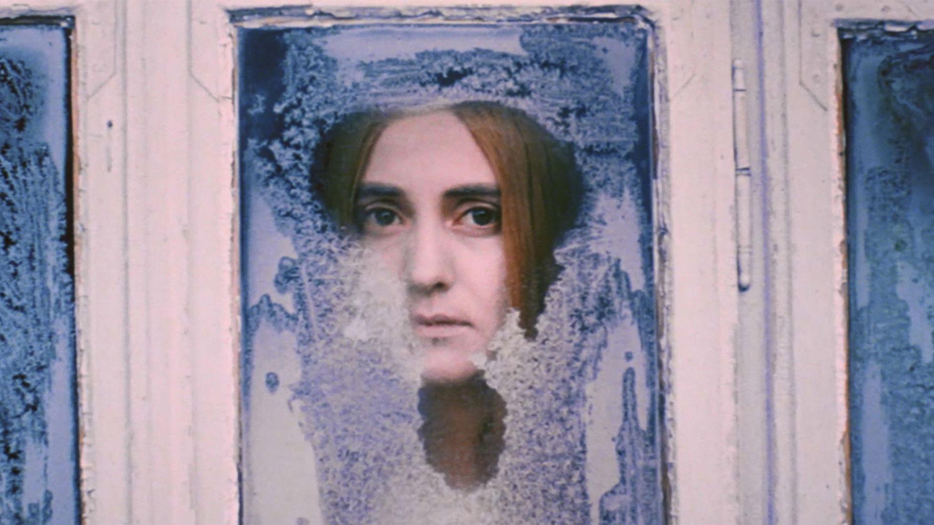 Білий птах з чорною ознакою