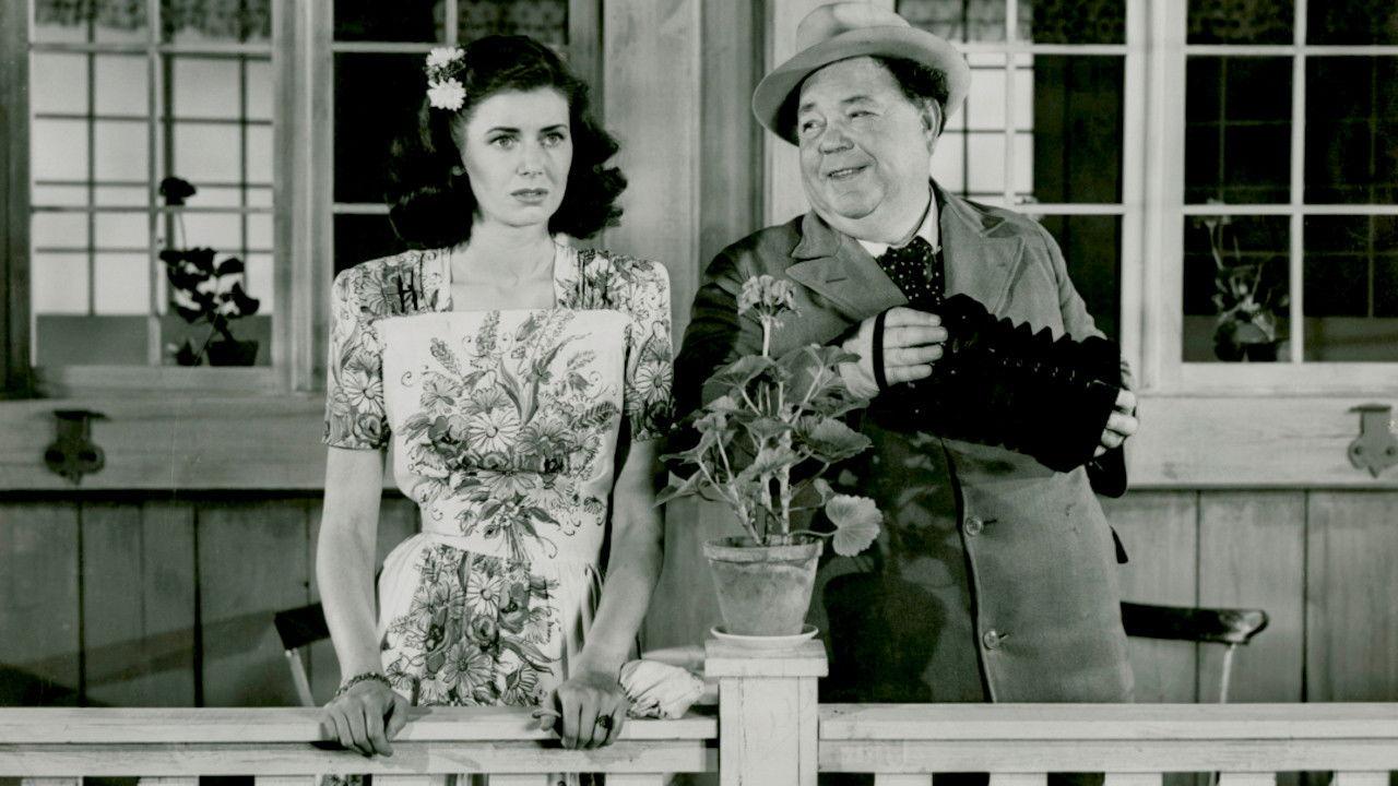 Dzwony starego miasta