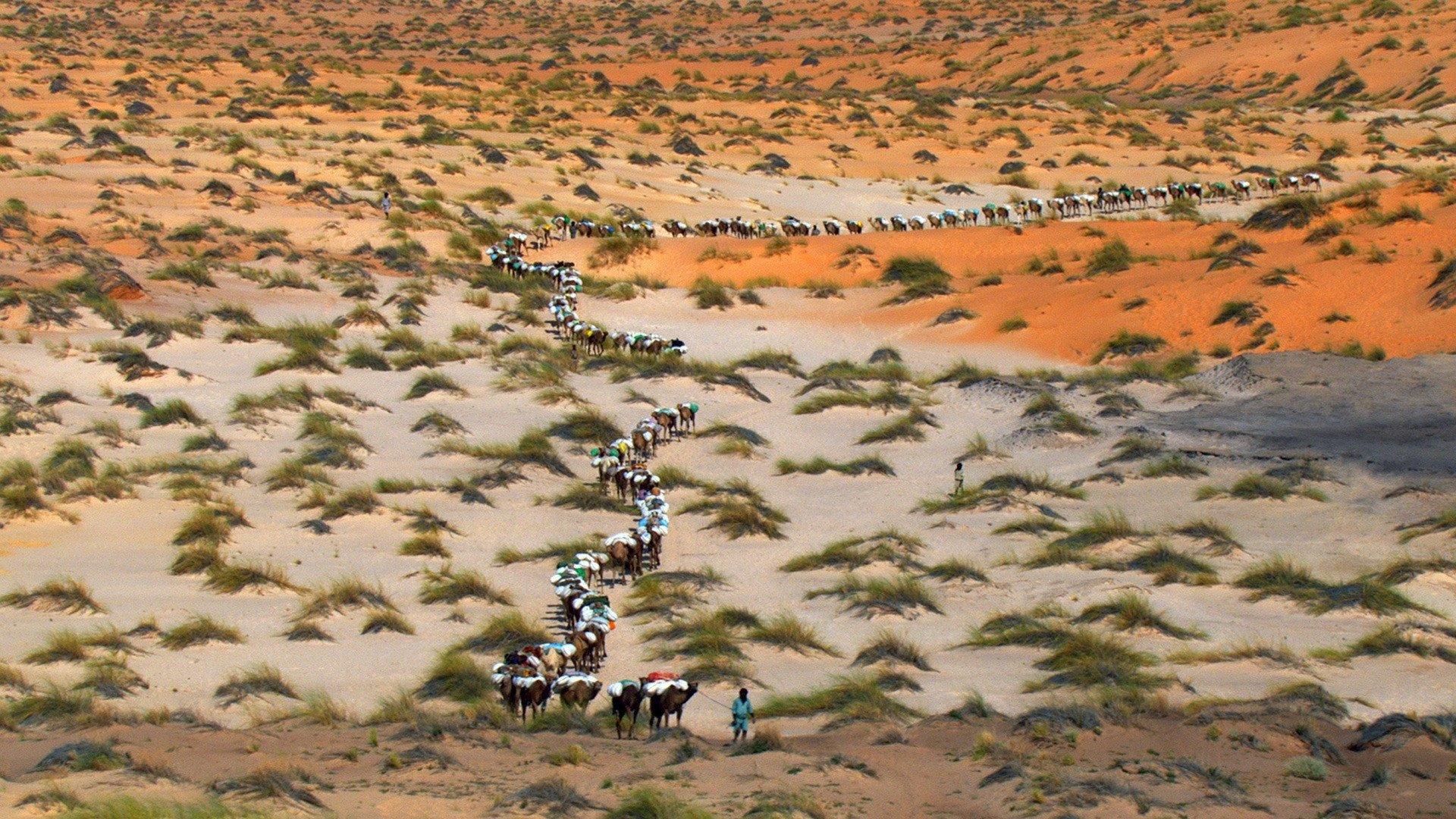 Home - S.O.S. Ziemia!