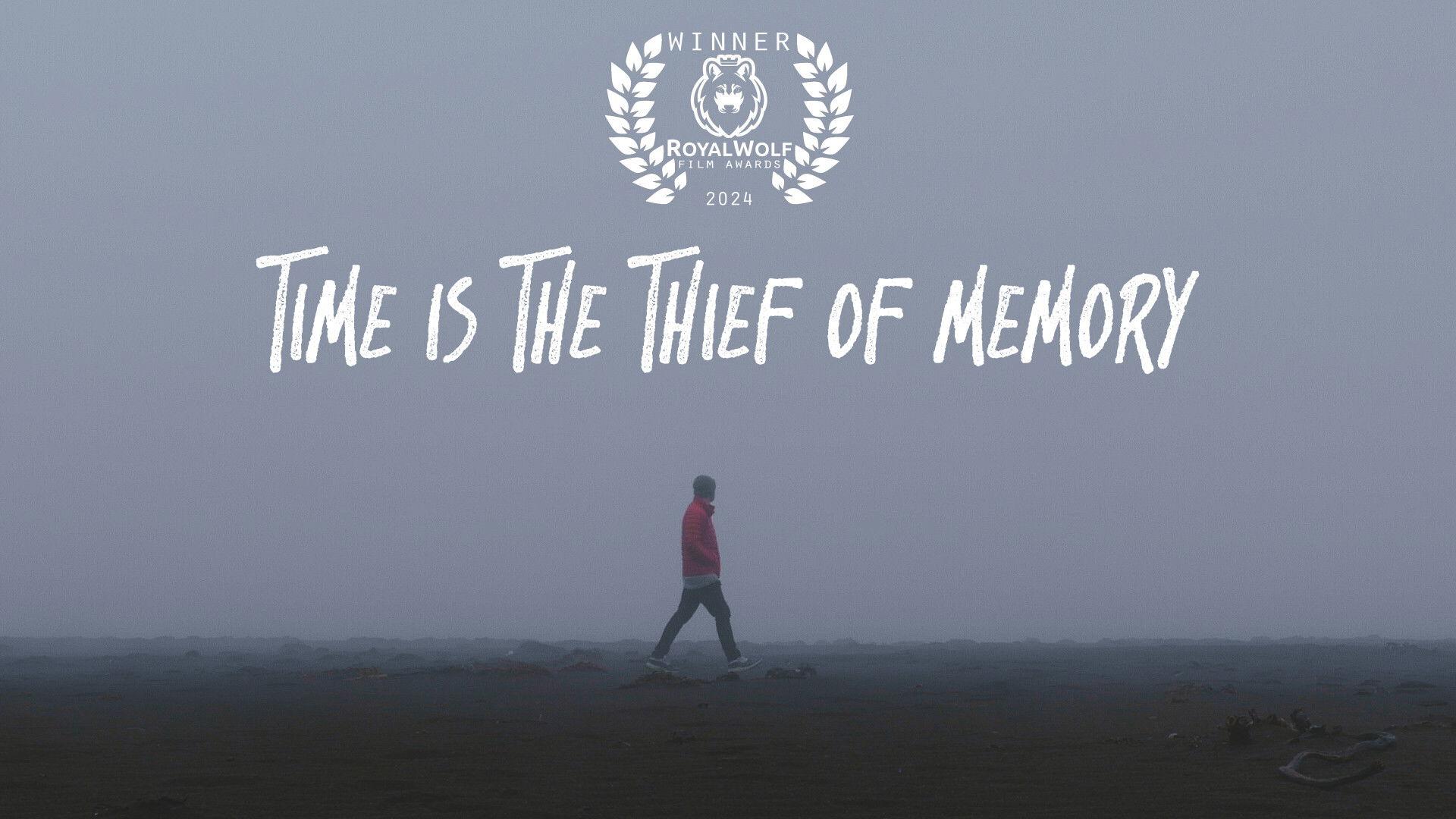 Time is the Thief of Memory