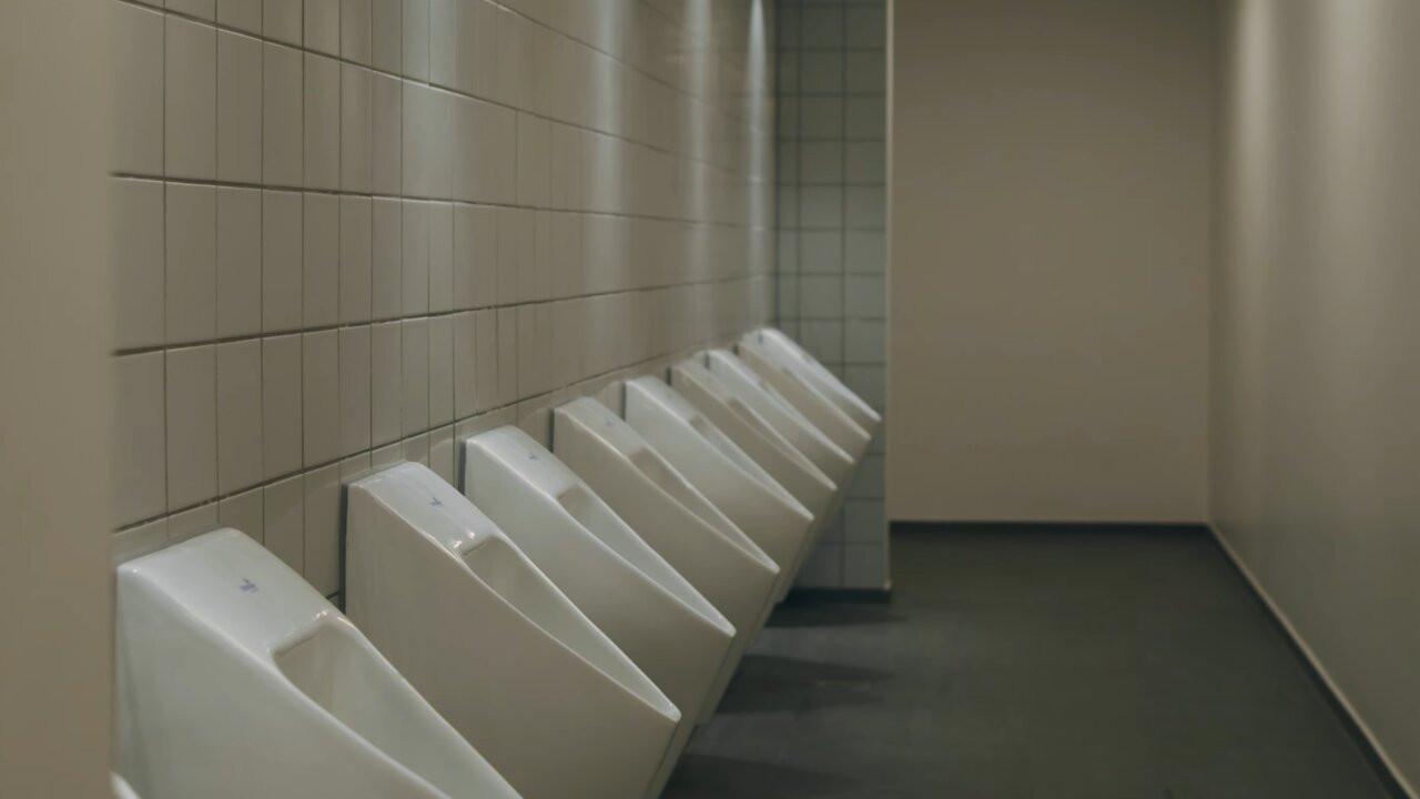 Toiletbesøget
