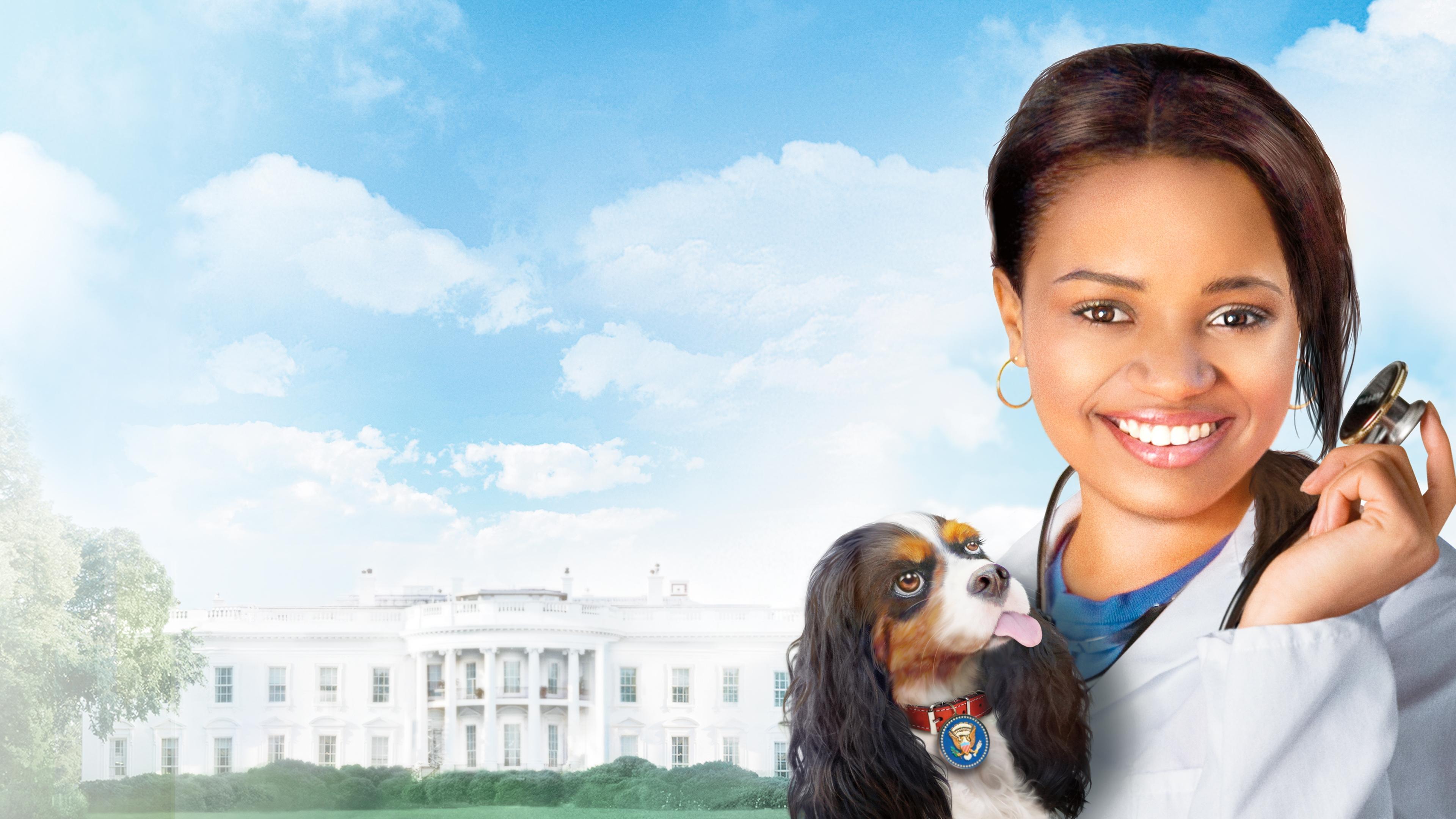 Doktor Dolittle 4: pies prezydenta