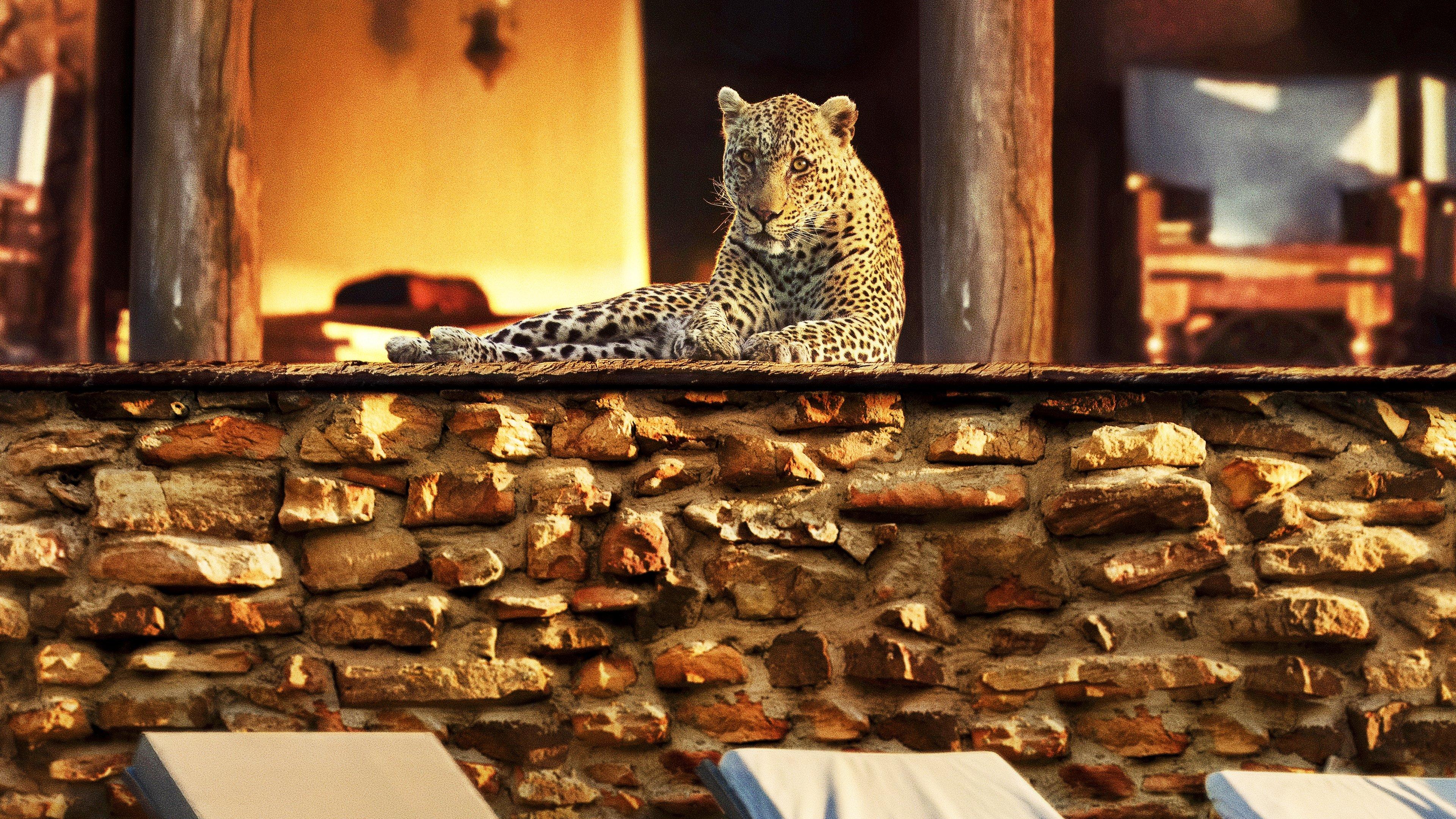 Rok, który odmienił świat