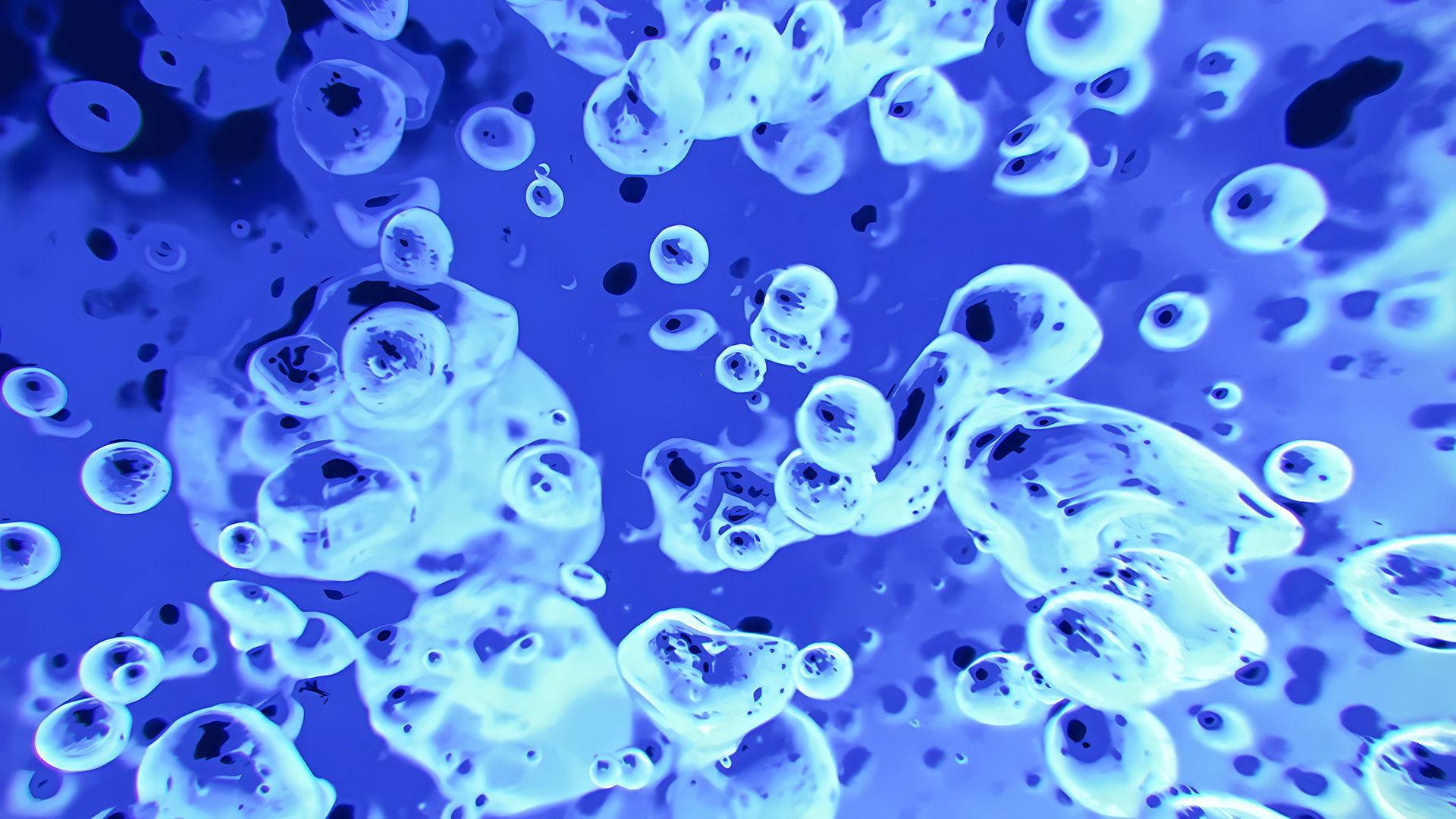 The Best Of Liquid Television