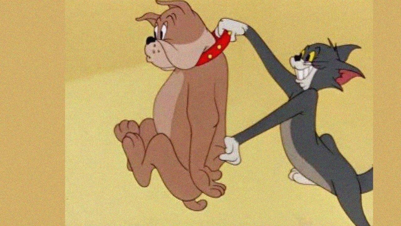 Kłopoty ze zwierzętami