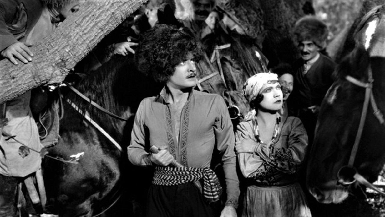 კაზაკები