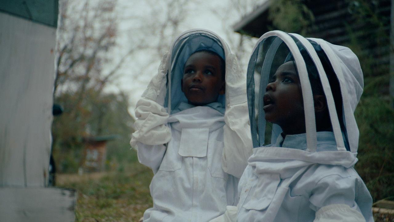 The Boys and the Bees