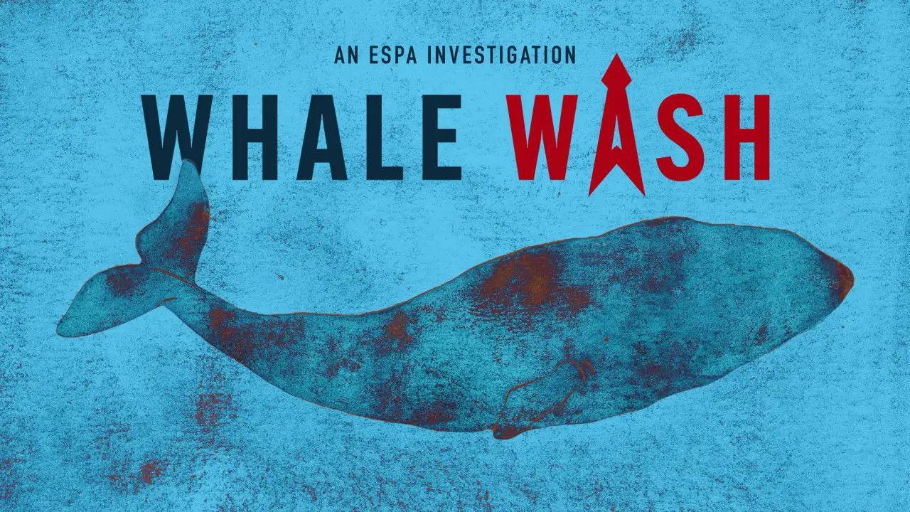 Whale Wash