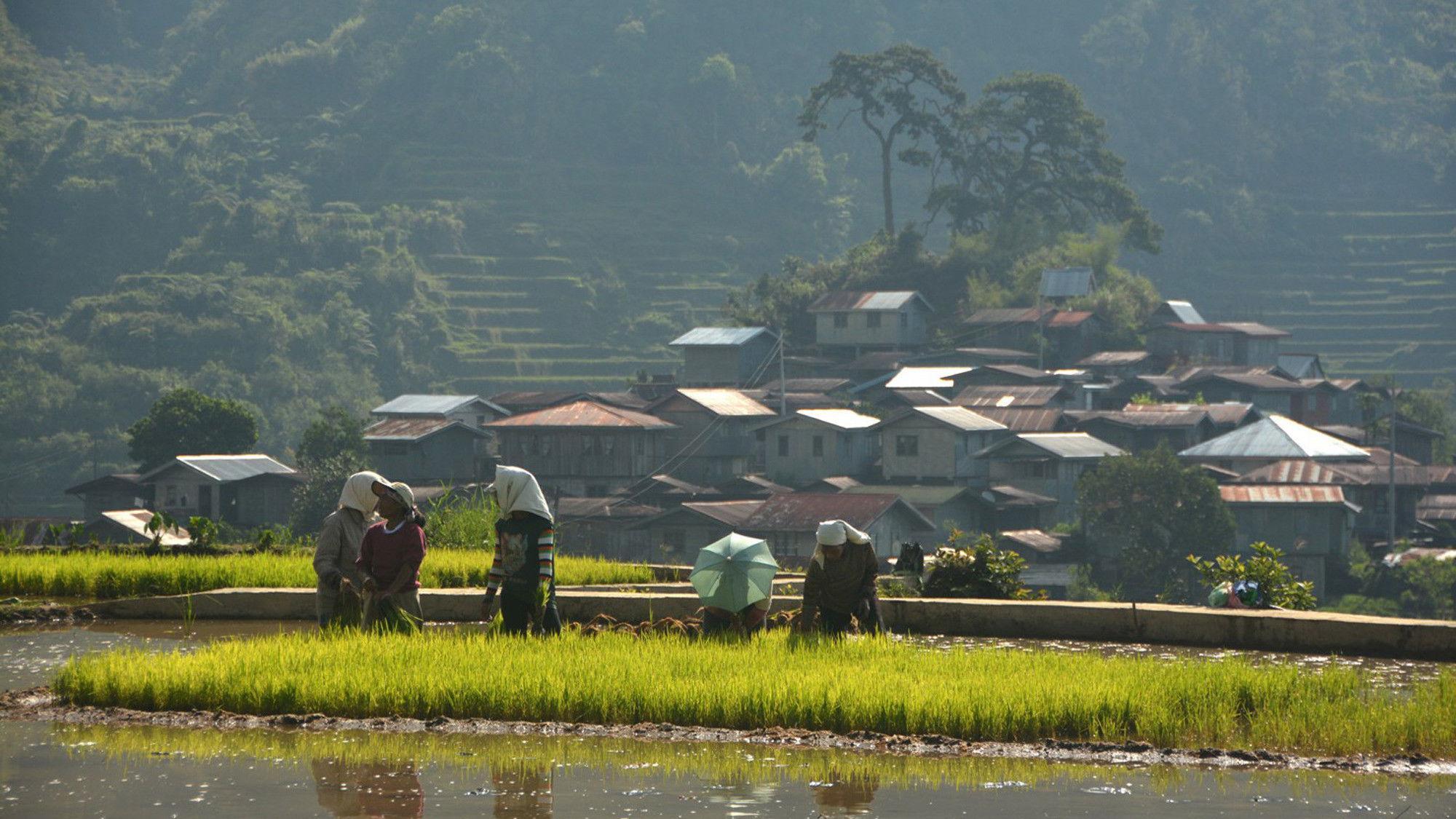 Walang Rape sa Bontok