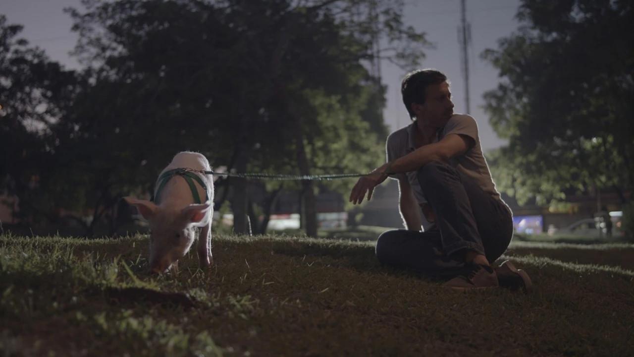 Duch wraca do miasta