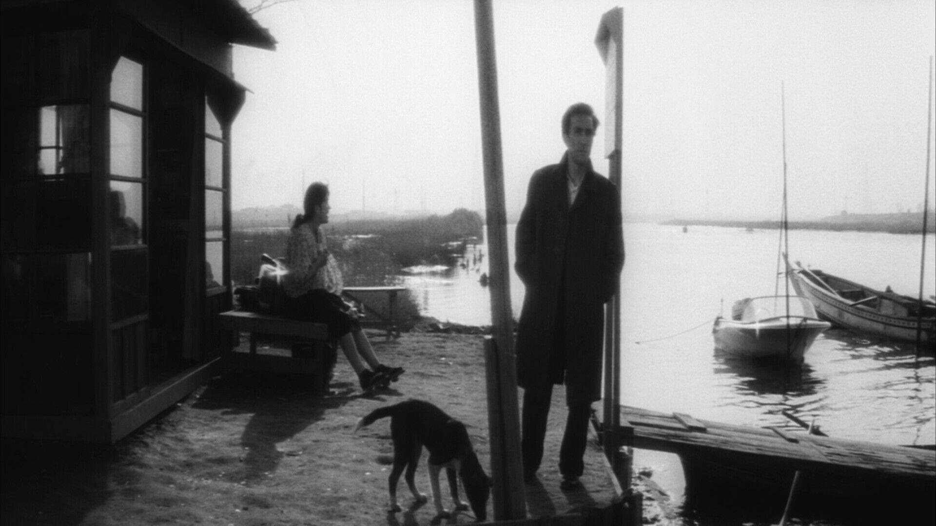 左ききの狙擊者 東京湾