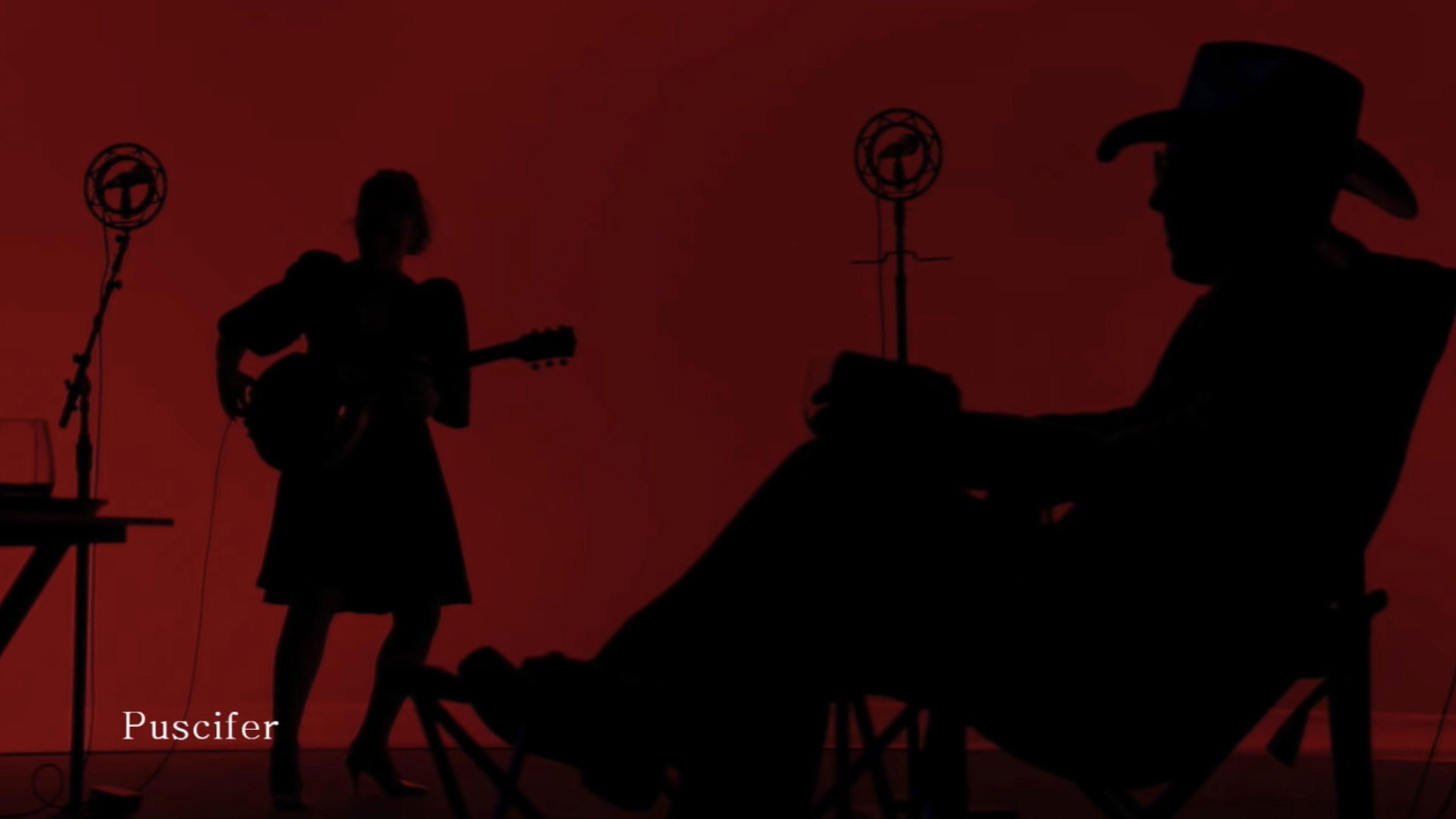 Puscifer - What is...