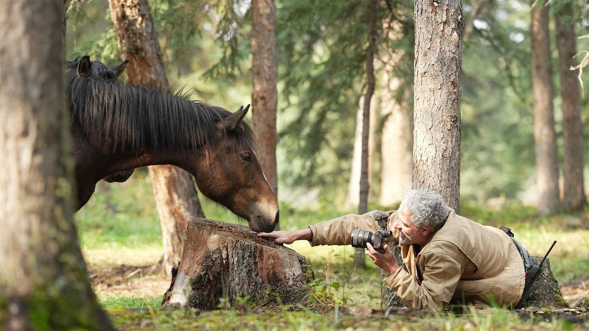 Wild Horses, the Rockies and Me