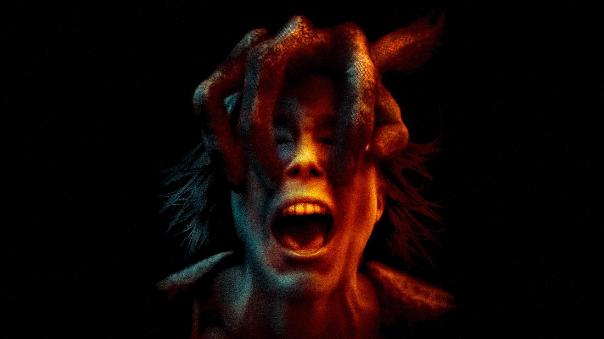 Co się wydarzyło w Gracefield