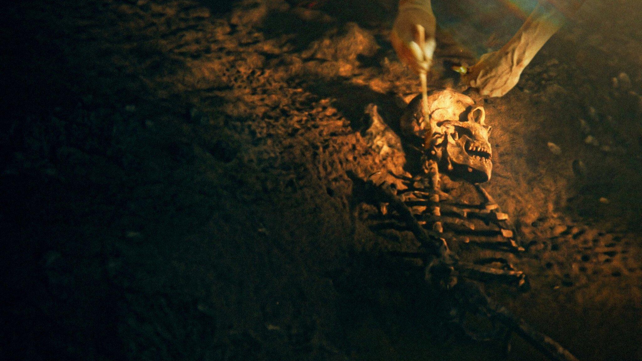 Sekrety neandertalczyków