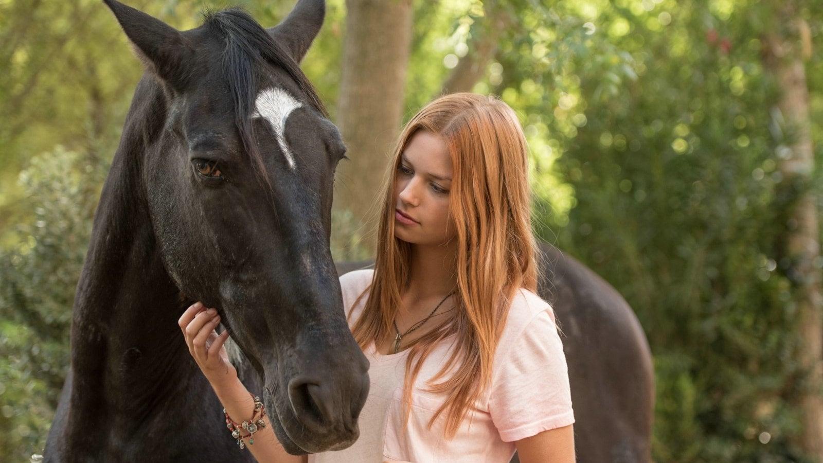 Wicher – dzikie konie