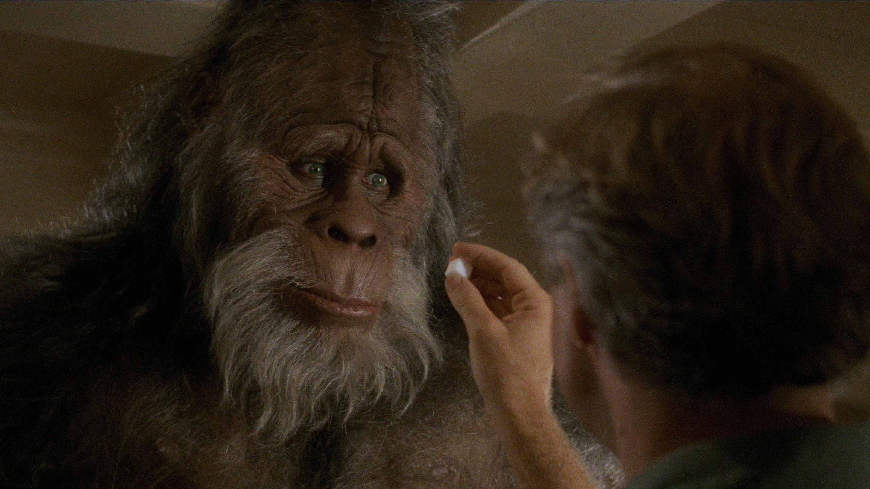 Harry i Hendersonowie
