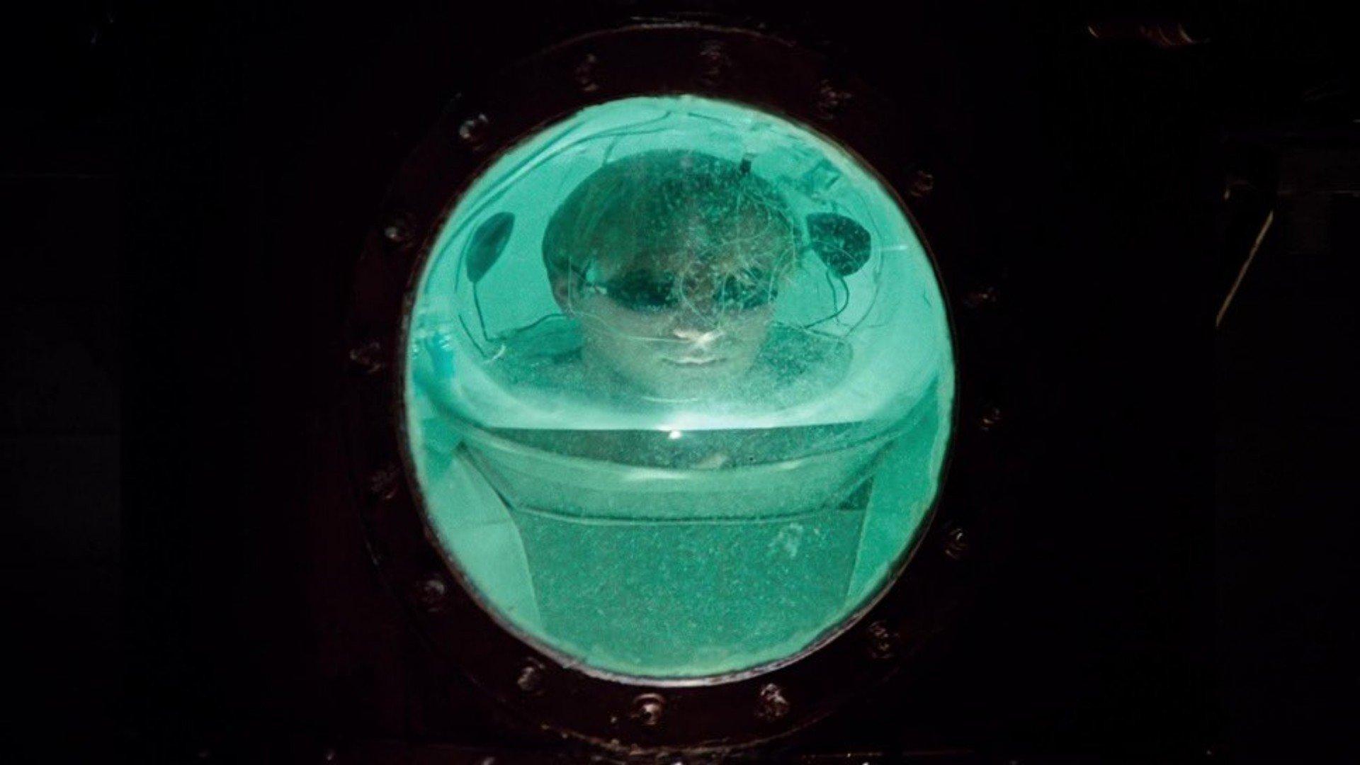 Odmienne stany świadomości