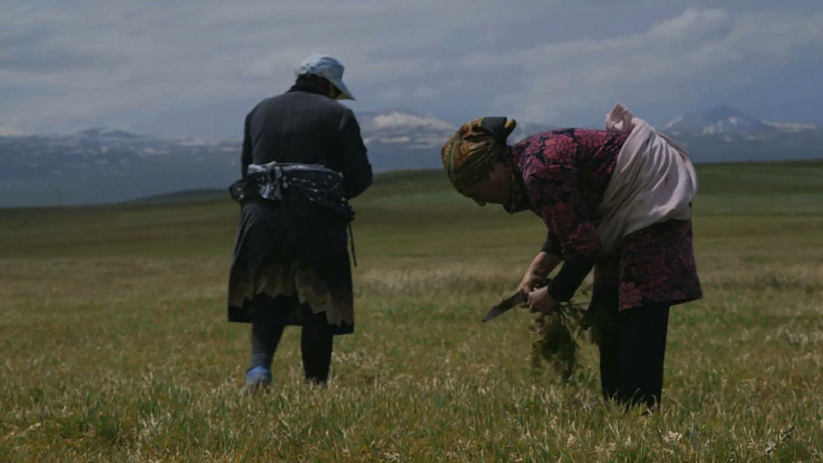 Կանանց Գյուղը