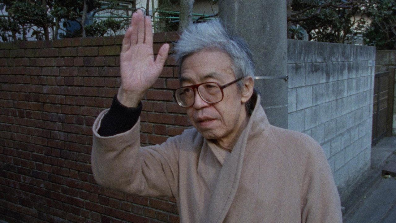 全身小説家