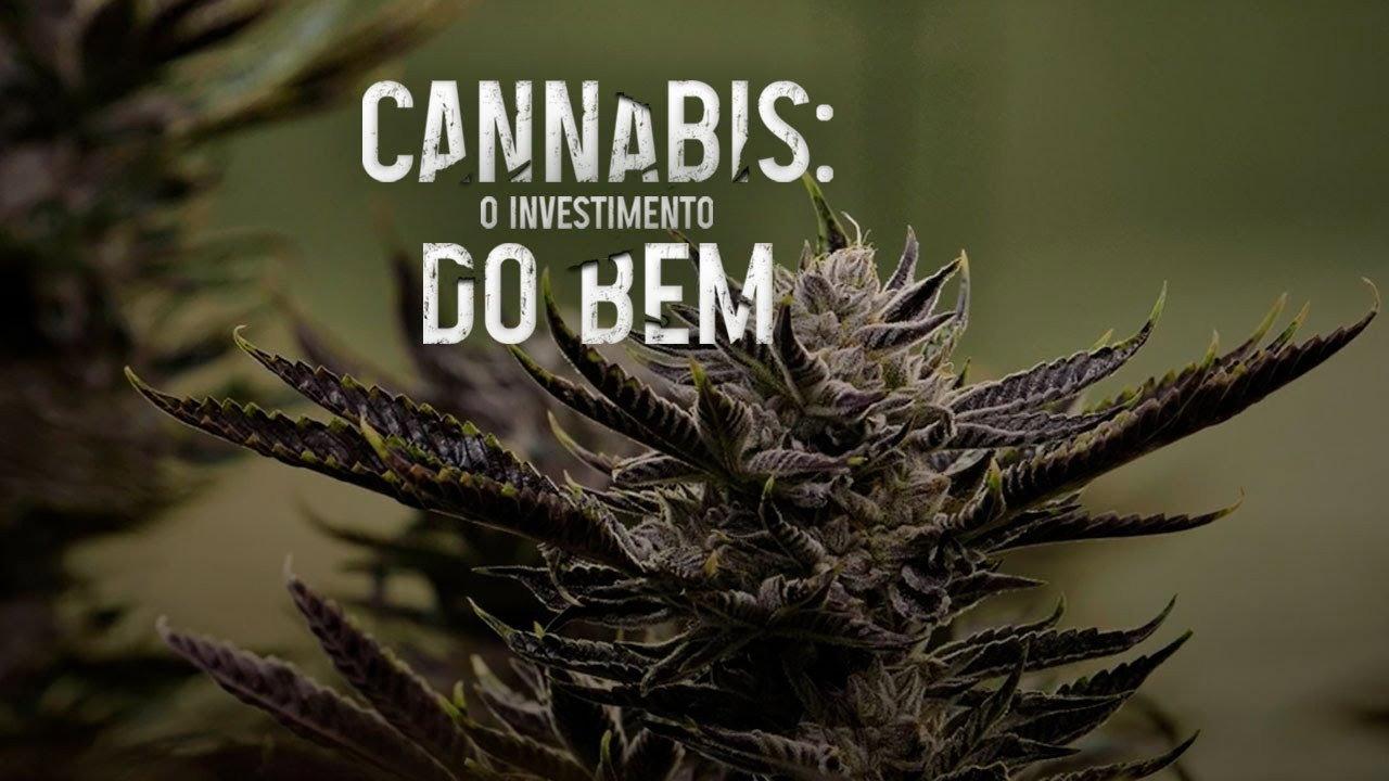 Cannabis: O Investimento do Bem