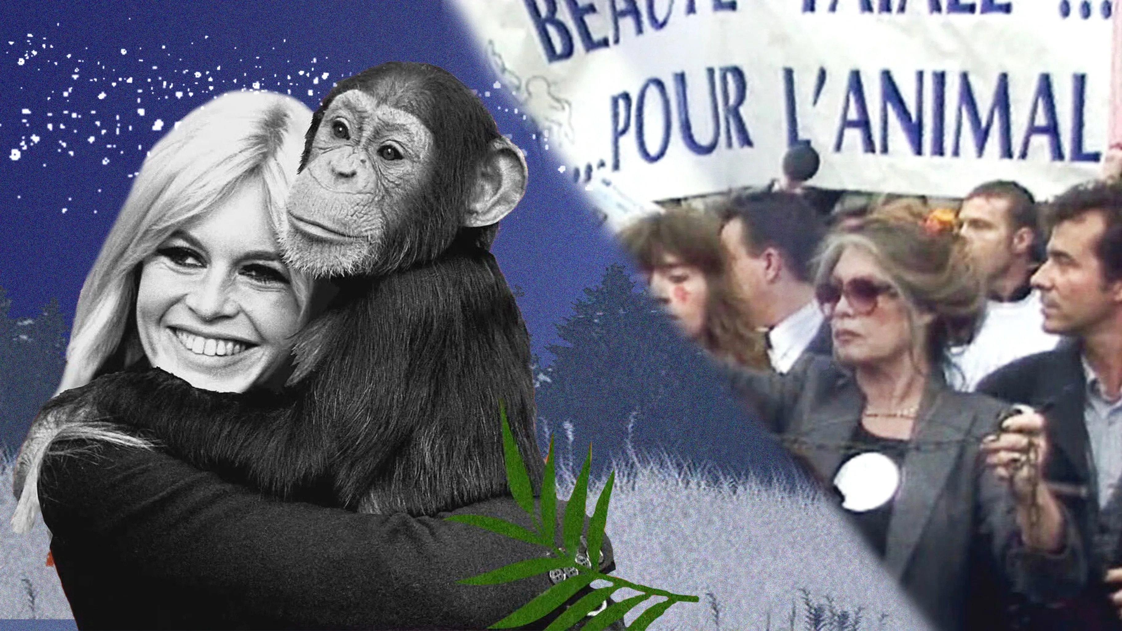 Brigitte Bardot, obrończyni zwierząt