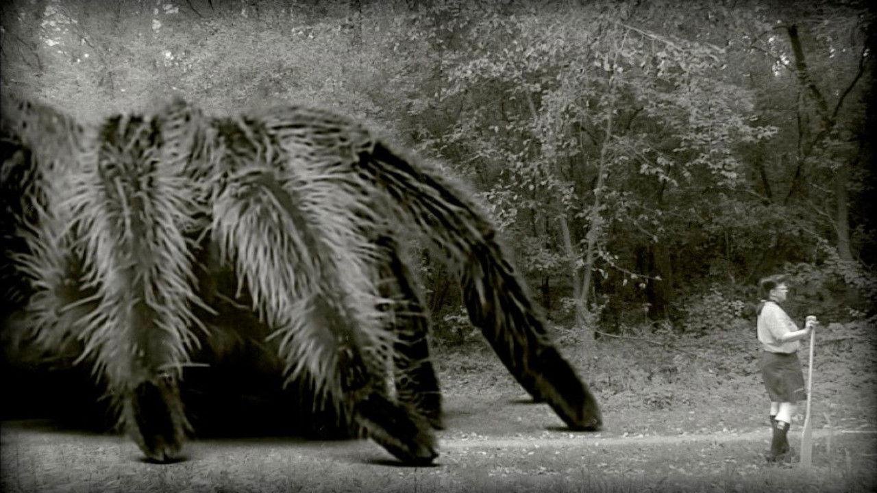 The Giant Spider