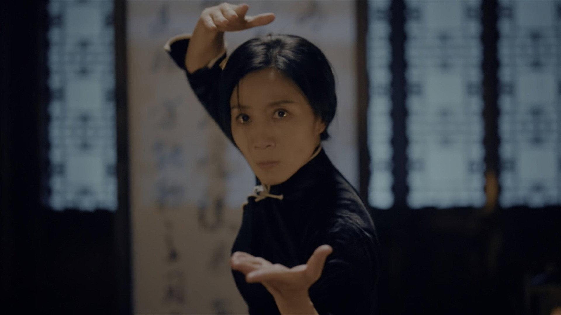 Ip Man Kung Fu Legend
