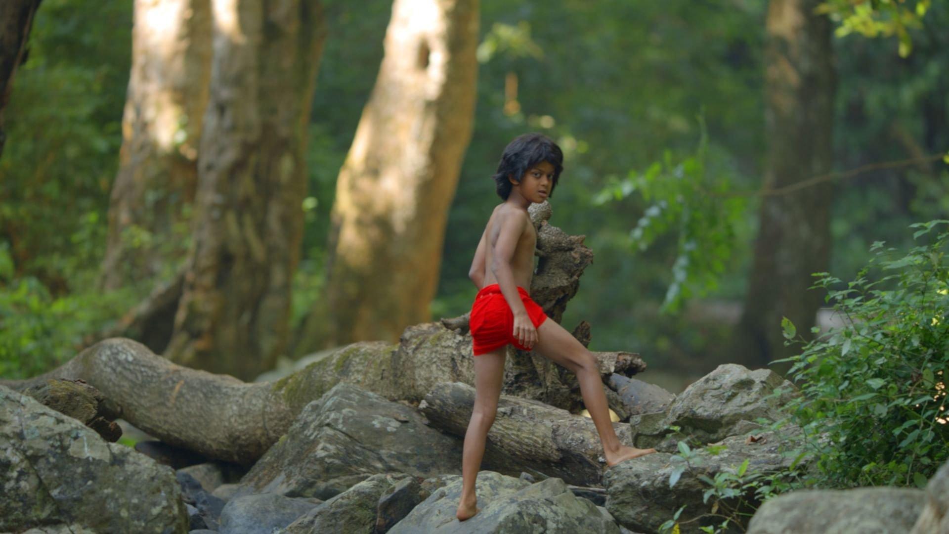 Das wahre Dschungelbuch