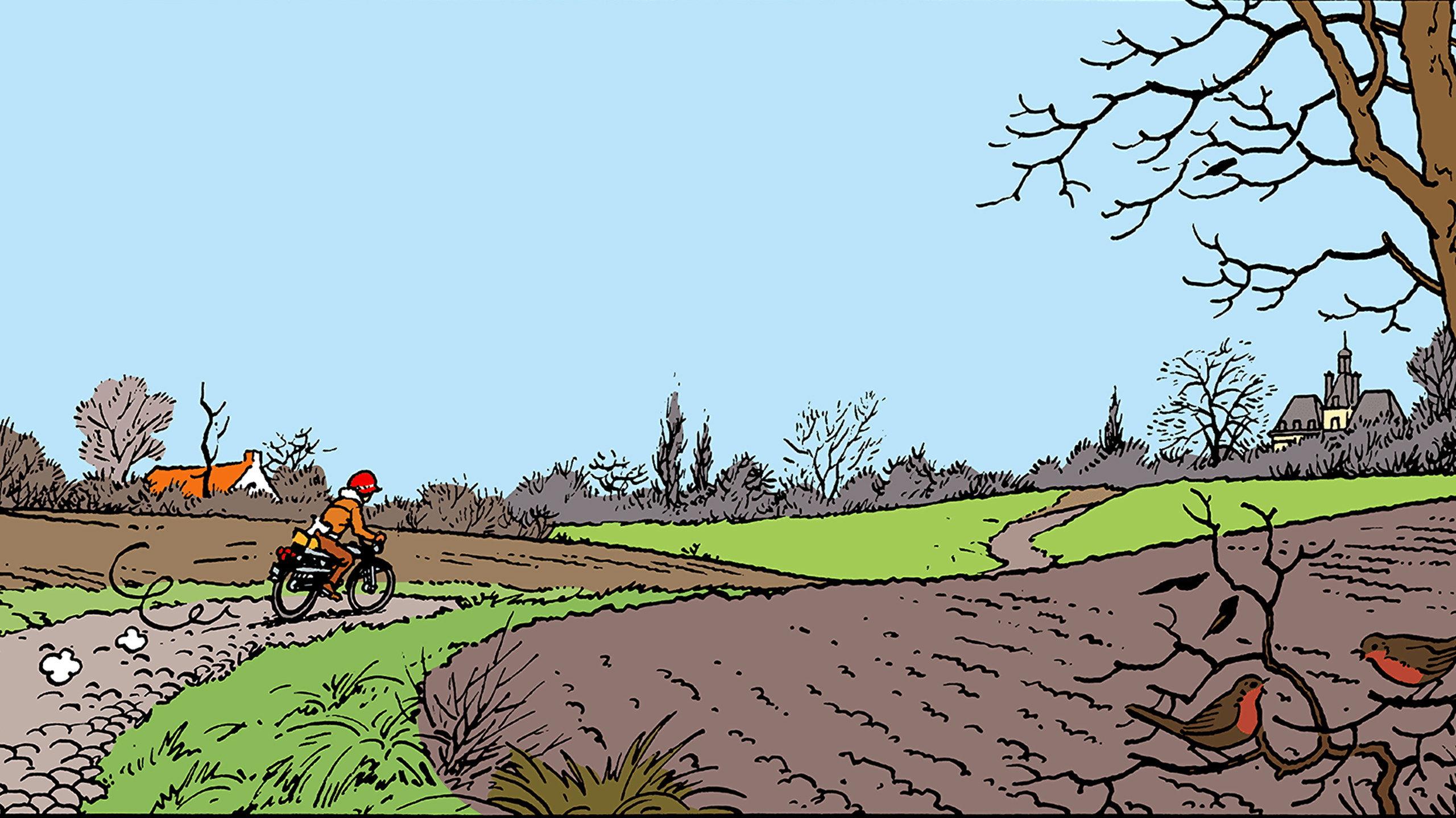 Tintin et les Picaros
