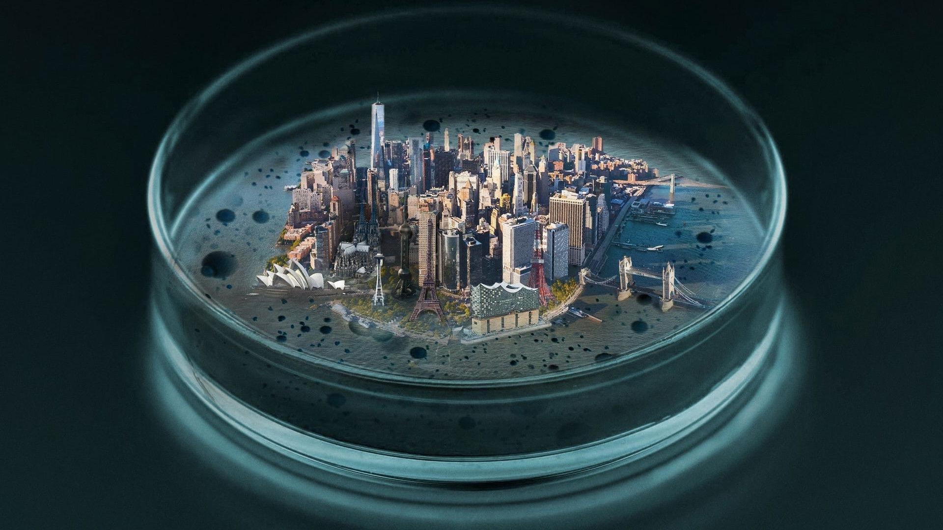 Bakterie odporne na wszystko