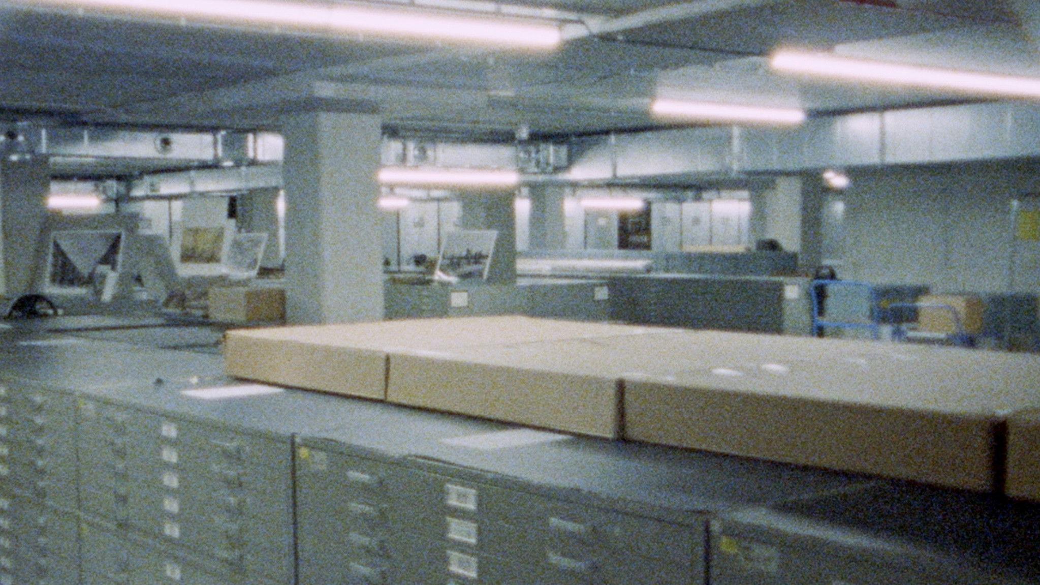 Seen From Here, I Feel Like Belonging