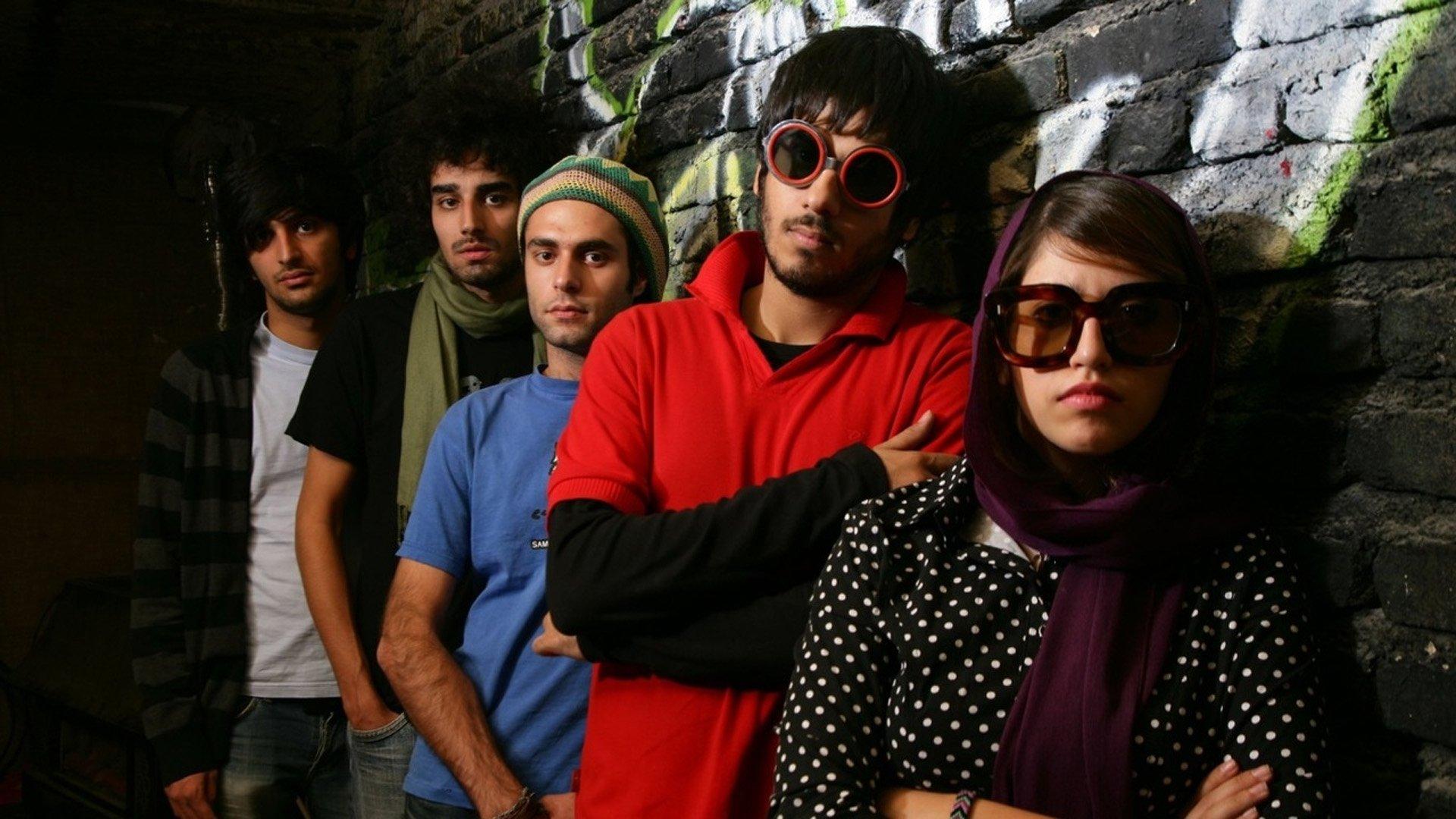 Nikt nie rozumie perskich kotów