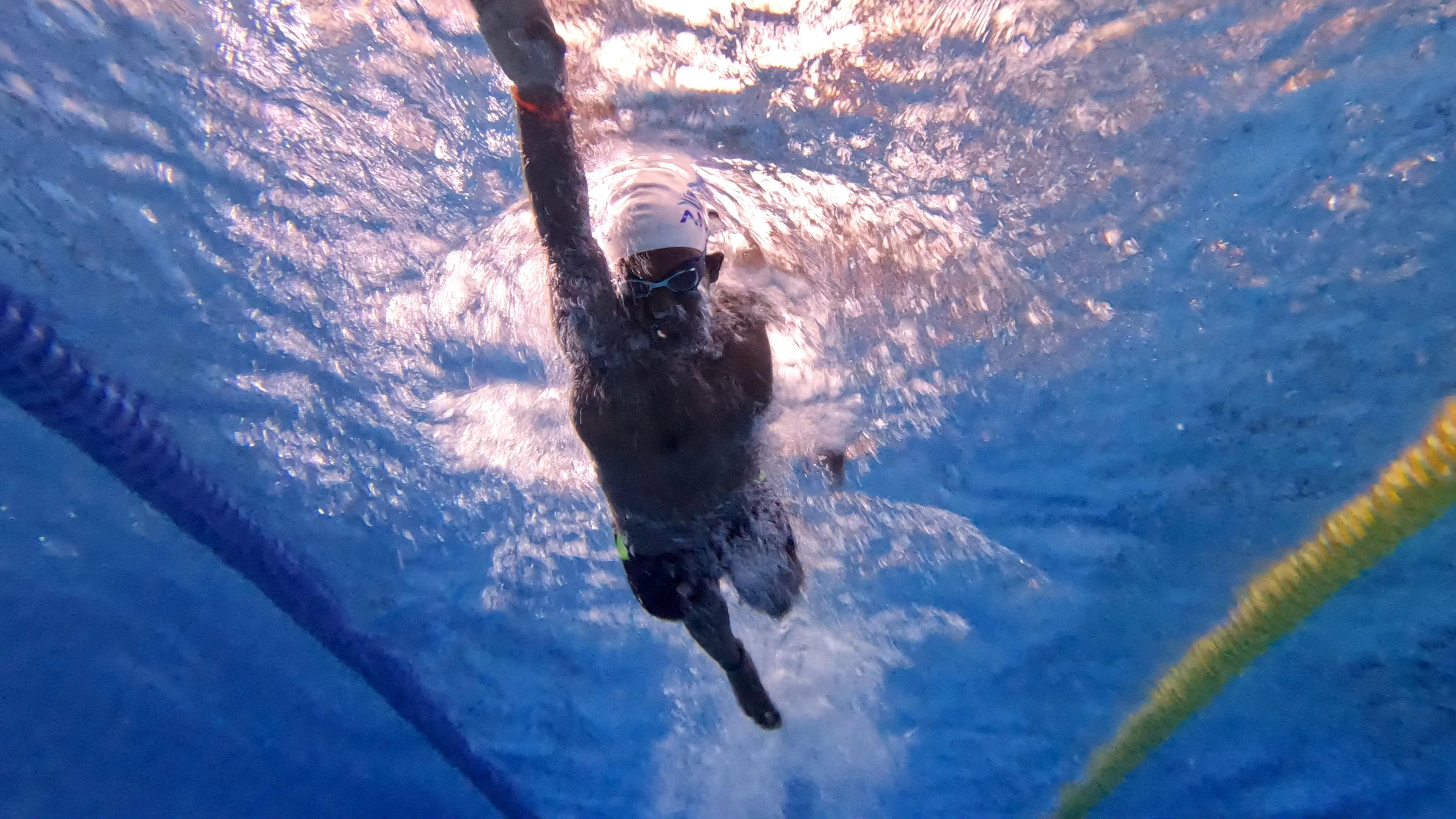 Dive: The Beginning