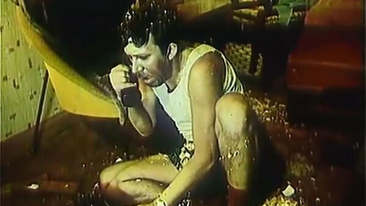 Большой «Фитиль» (Киноальманах)