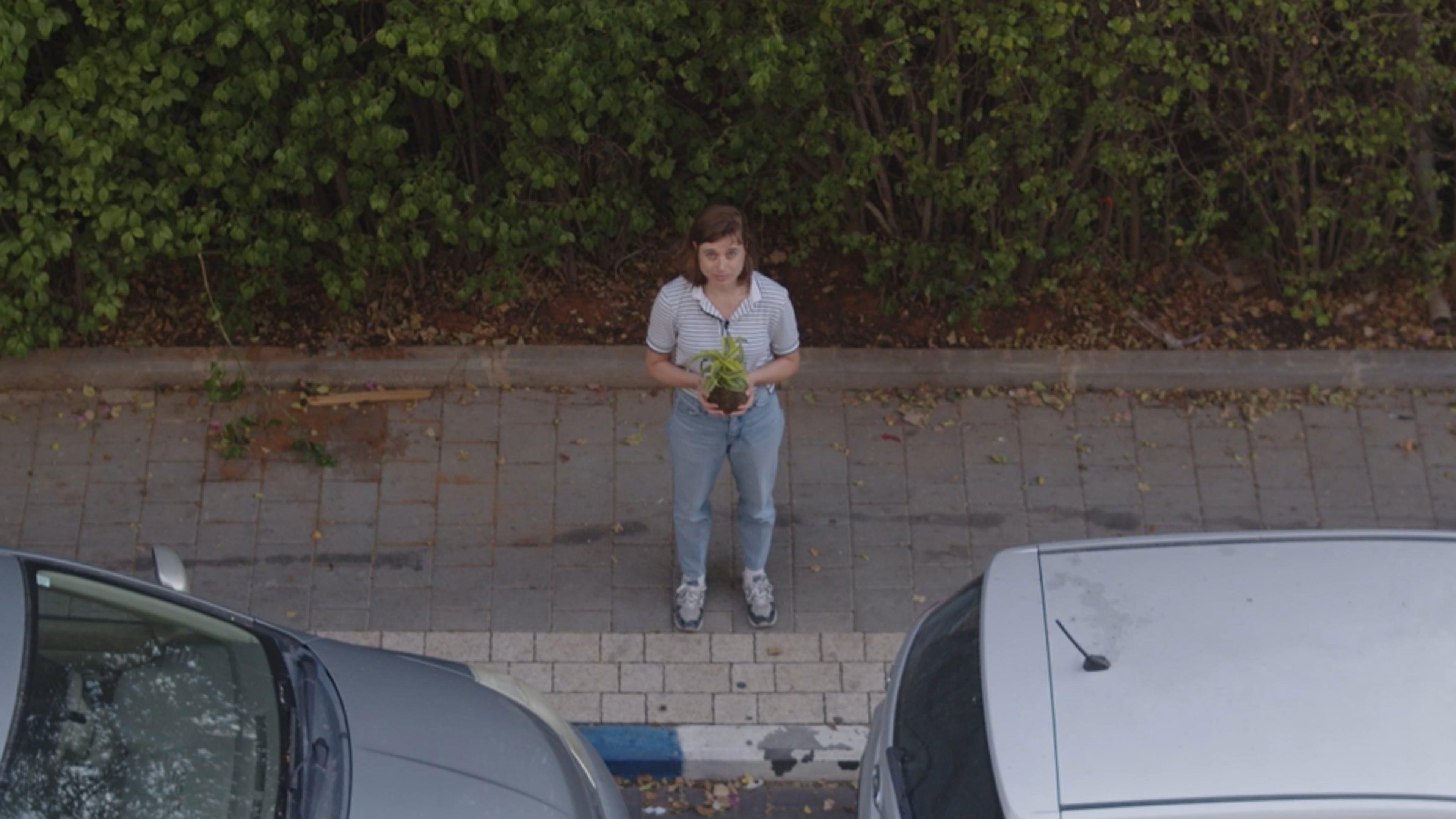 דמורסינכרונוזיס