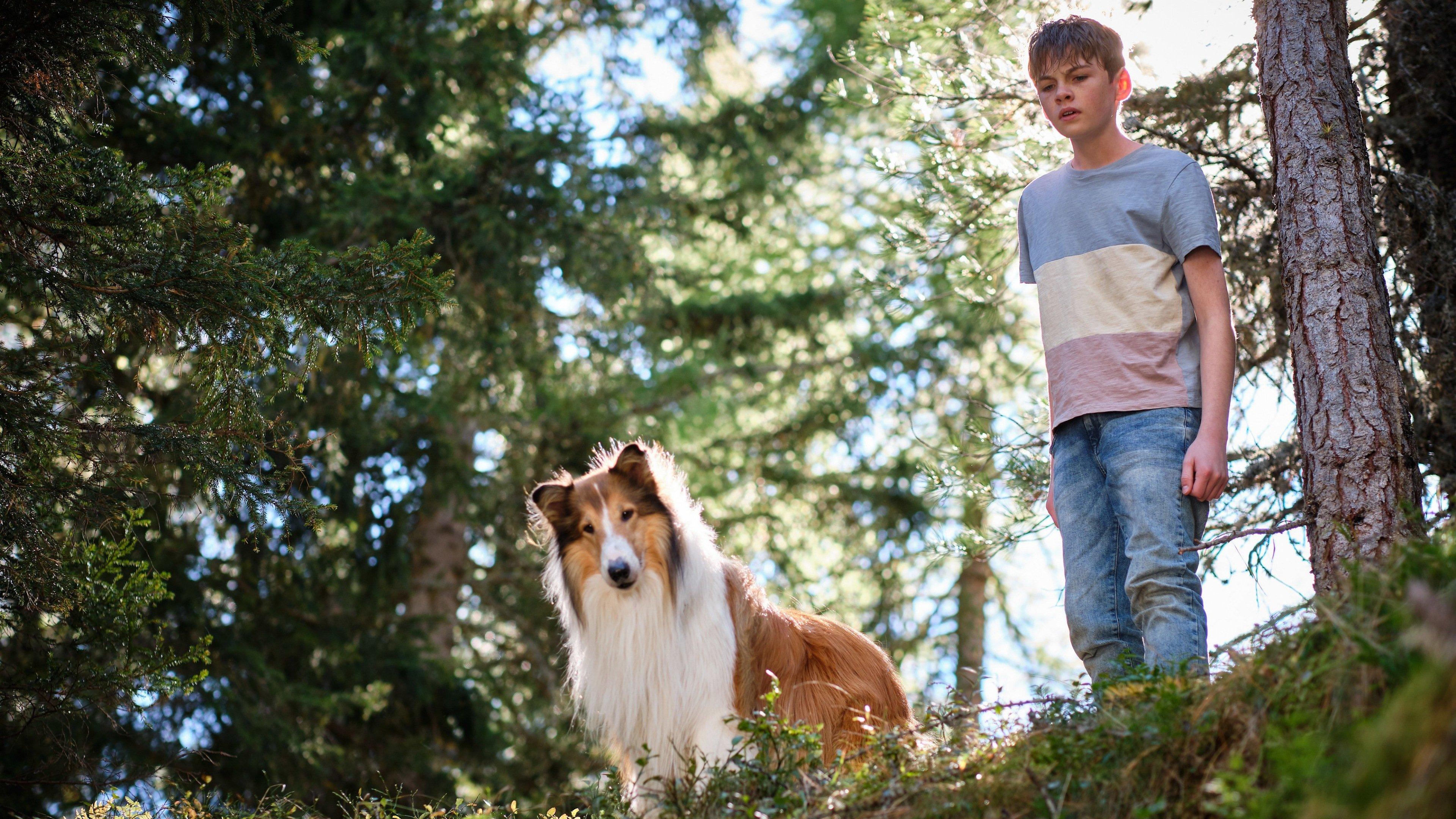 Lassie. Nowe przygody