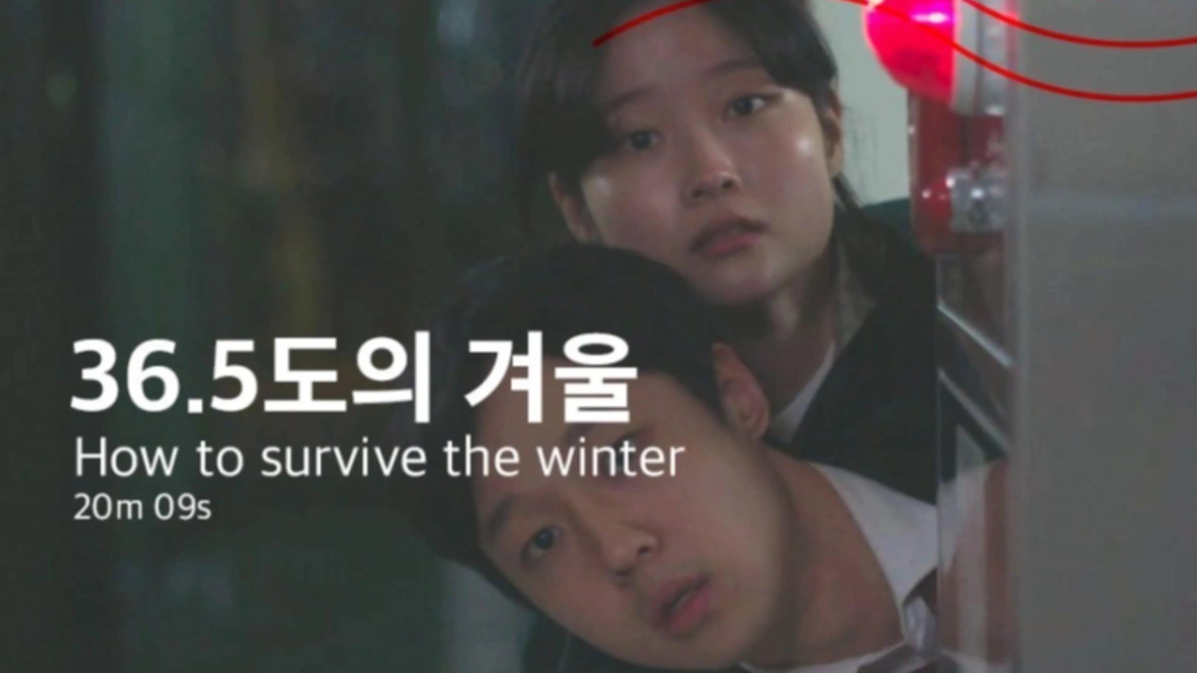 36.5도의 겨울