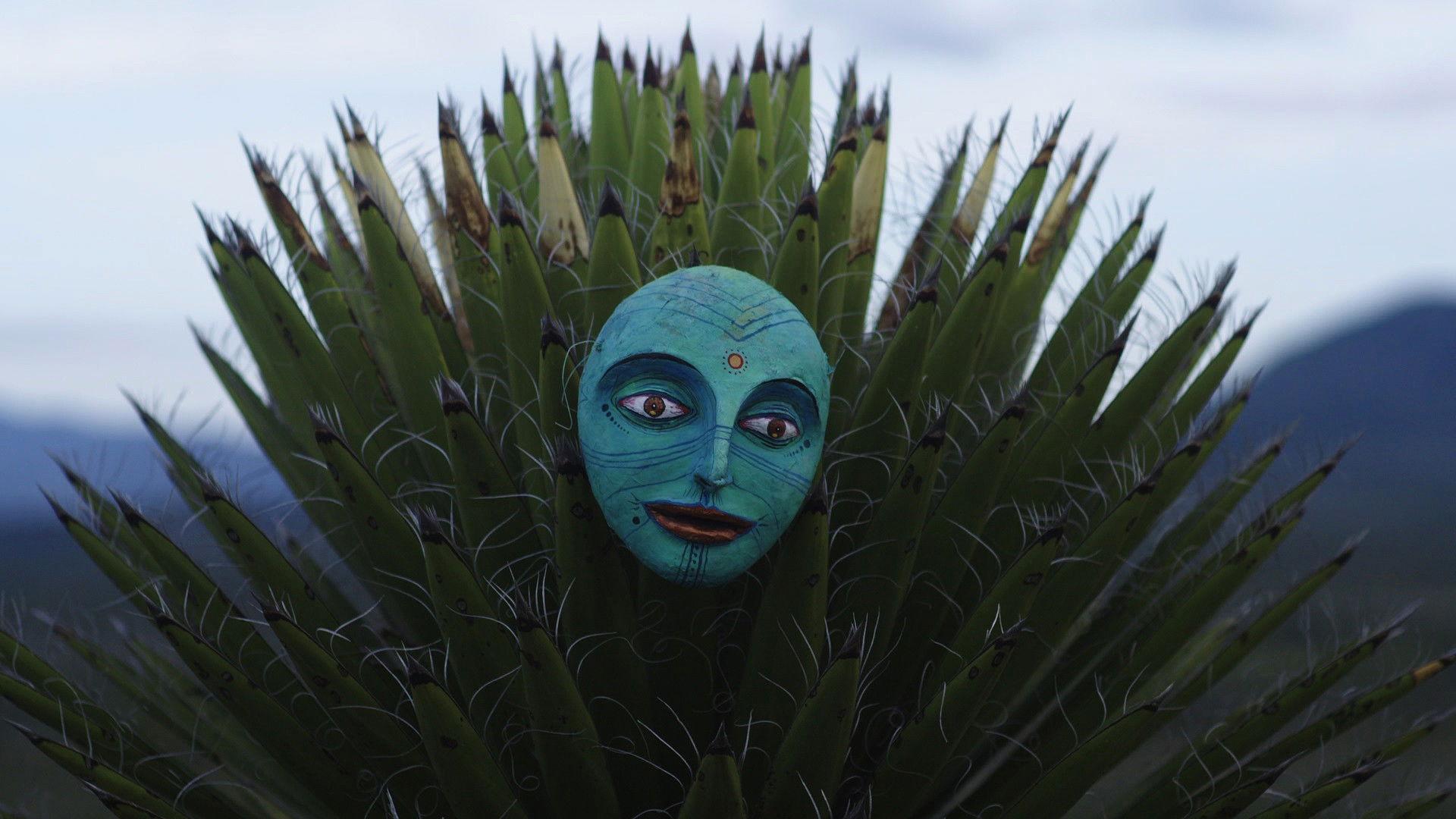 El Carretón del Desierto