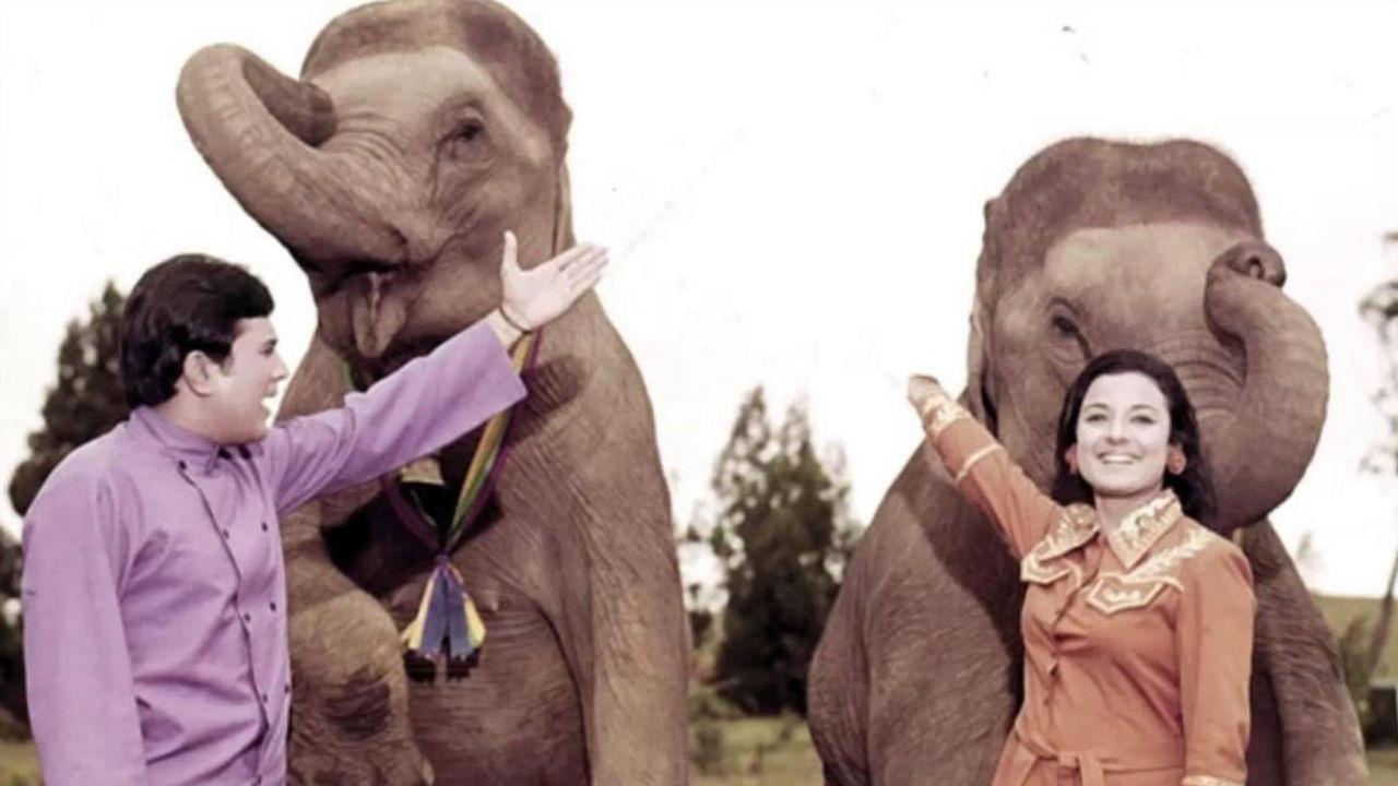 हाथी मेरे साथी