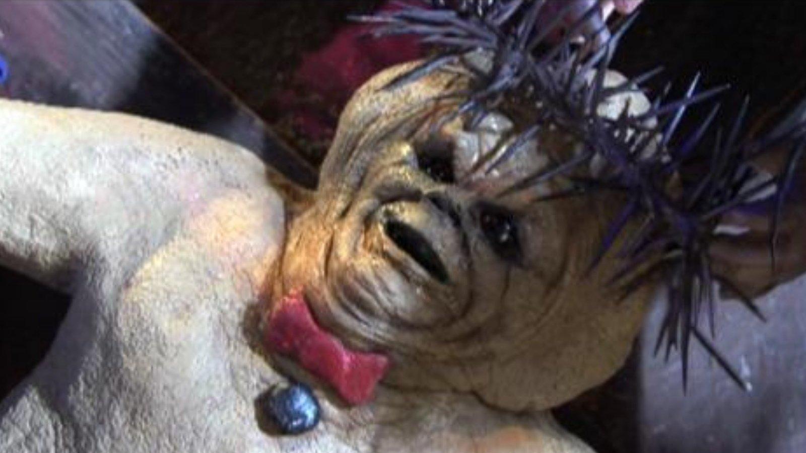 Pierniczek okrutniczek 2: Mąka pańska