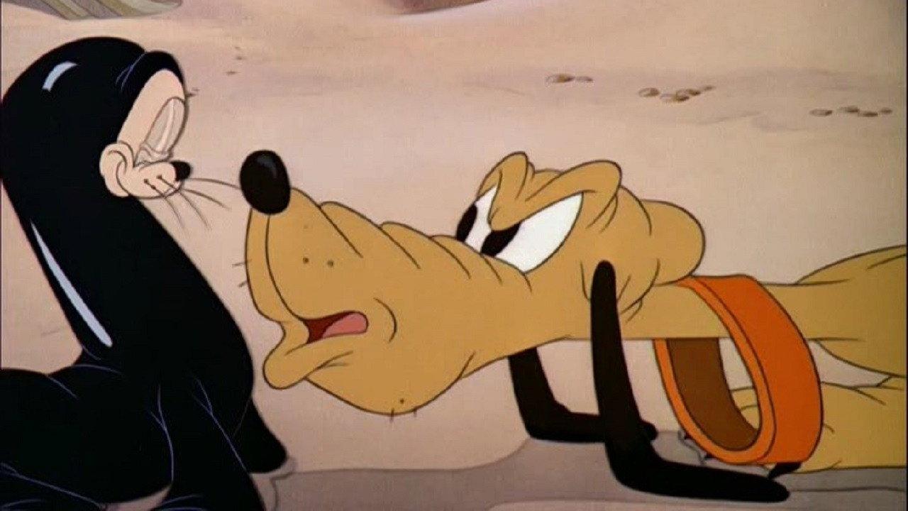 Towarzysz zabaw psa Pluto