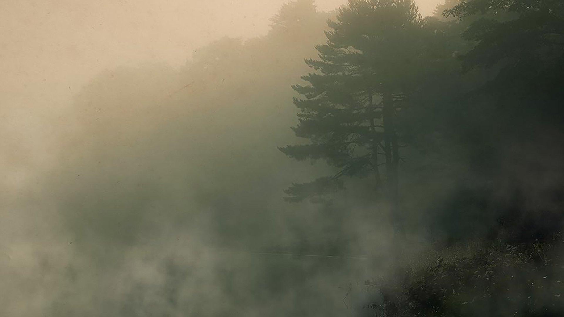 Kim jest oprawca z Ozark?