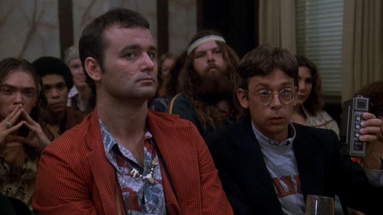 Tam wędrują bizony