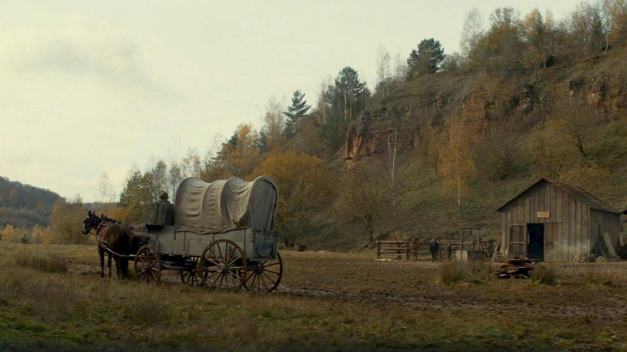 Nigdy nie dorośniemy