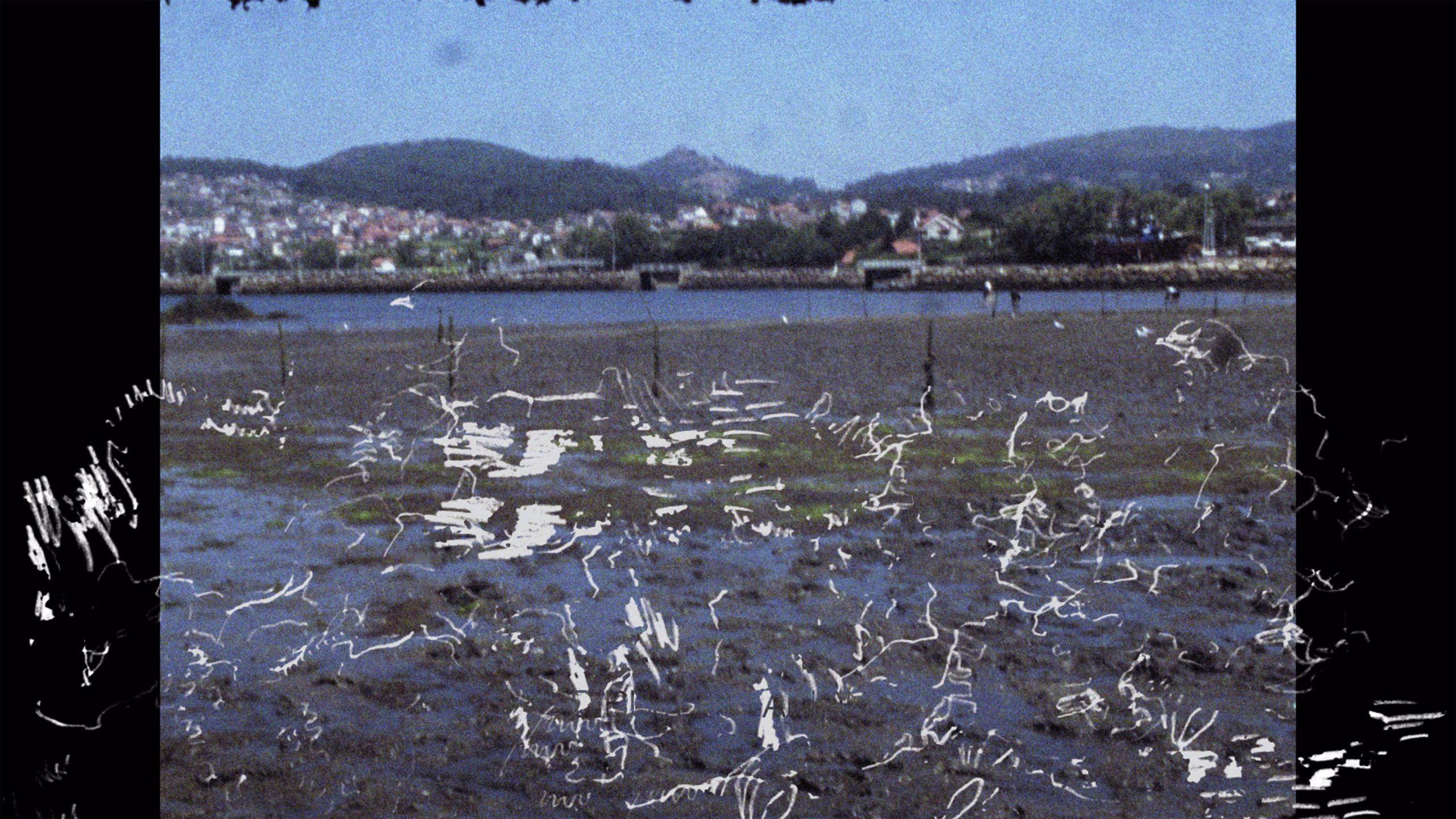 Tatuado nos ollos levamos o pouso