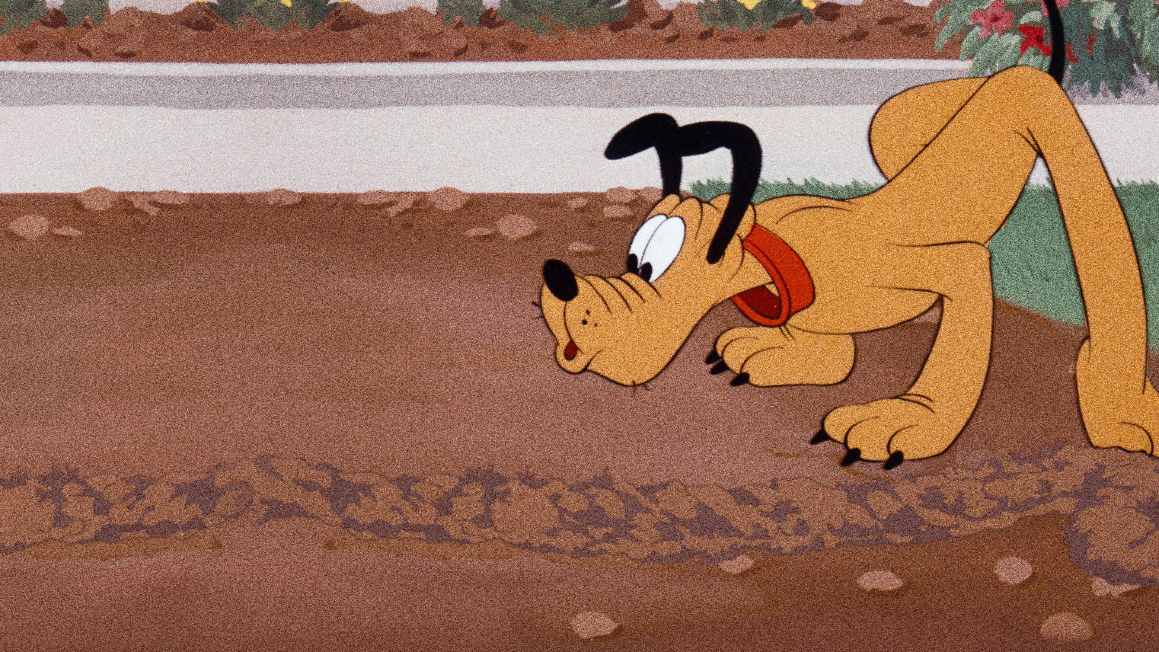 Pluto i suseł