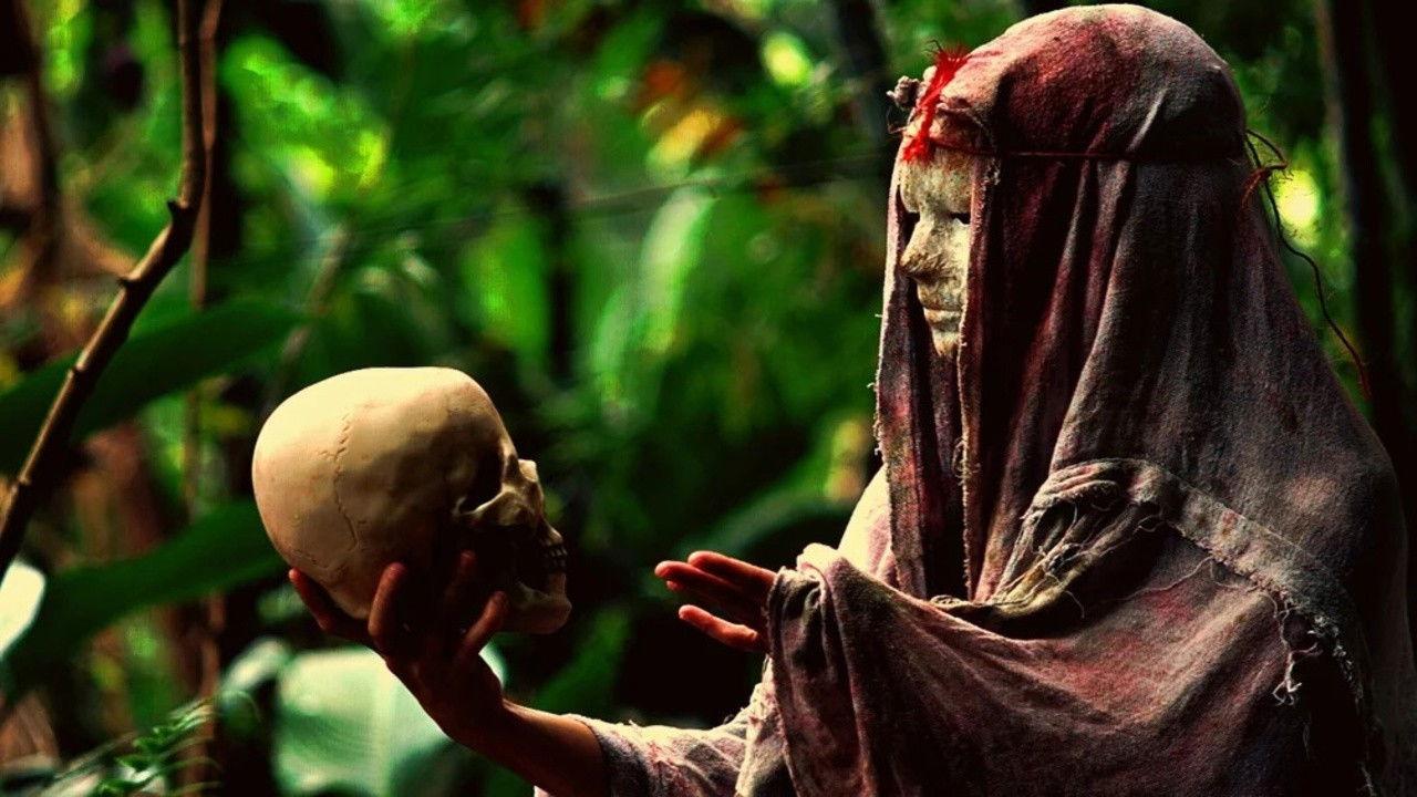 Floresta Sombria - o mal nunca dorme